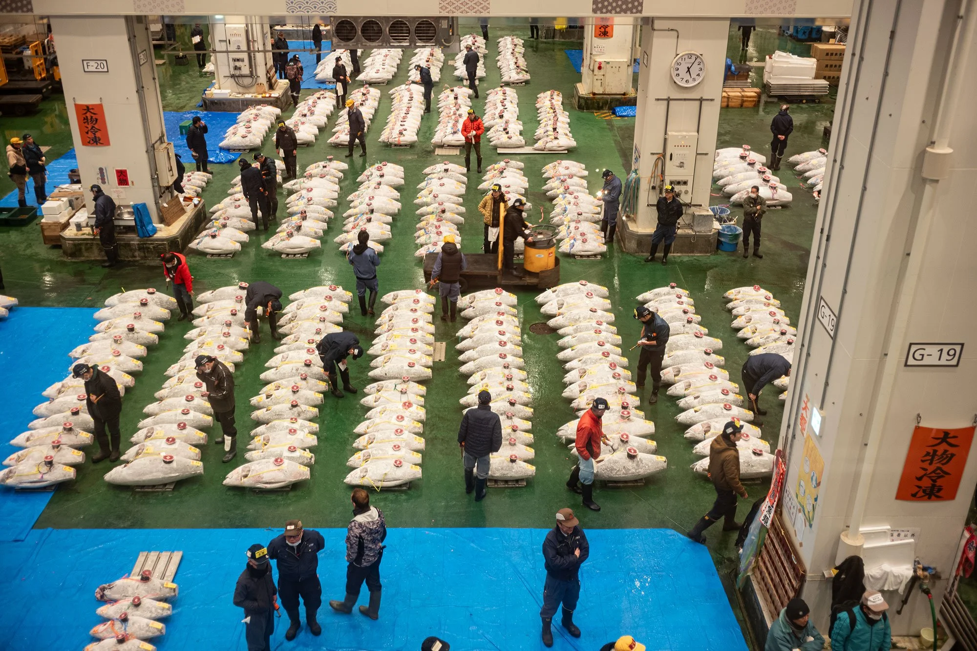 Toyosu fish market. Tokyo, Japan.