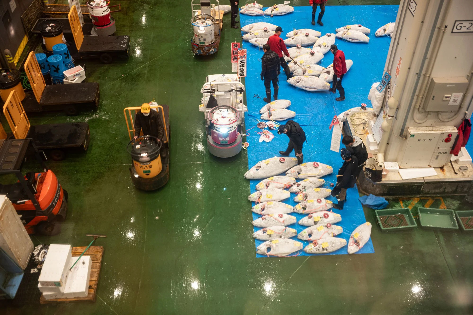 Toyosu fish market. Tokyo, Japan.