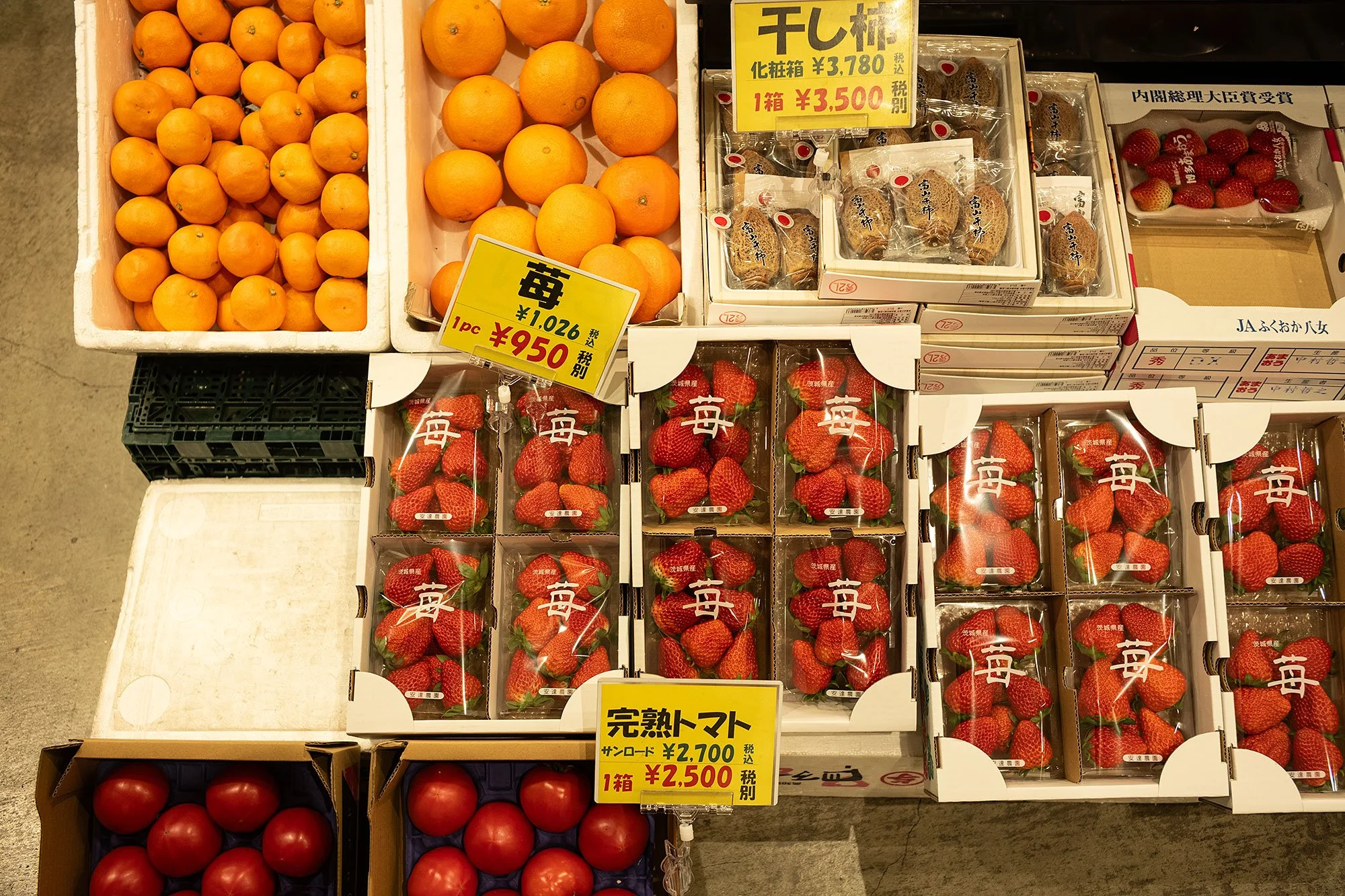 Toyosu fish market. Tokyo, Japan.