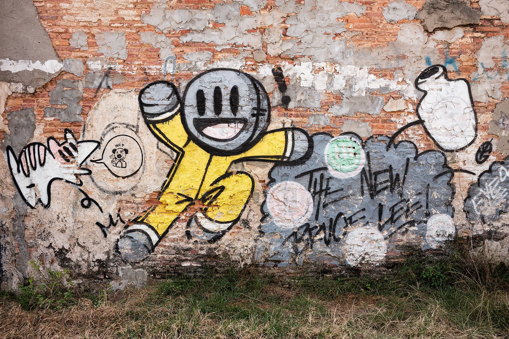 Street art. Penang, Malaysia.