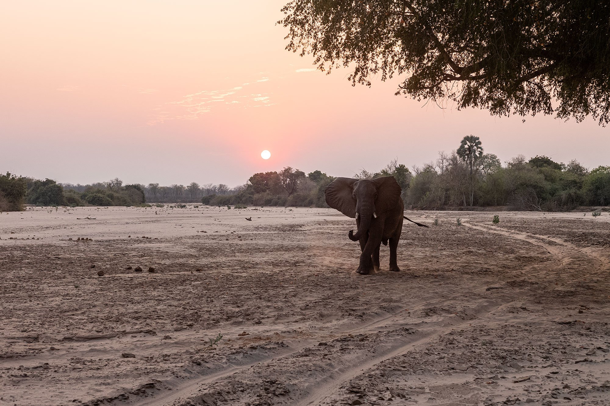 Mana Pools, Zimbabwe.