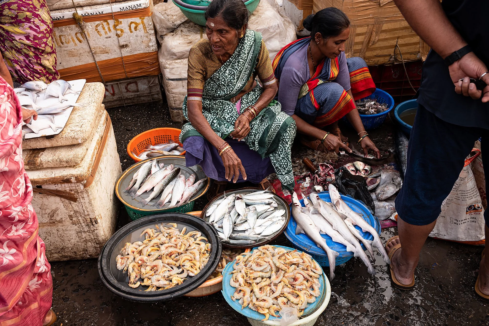 Sassoon dock jetty. Mumbai, India.