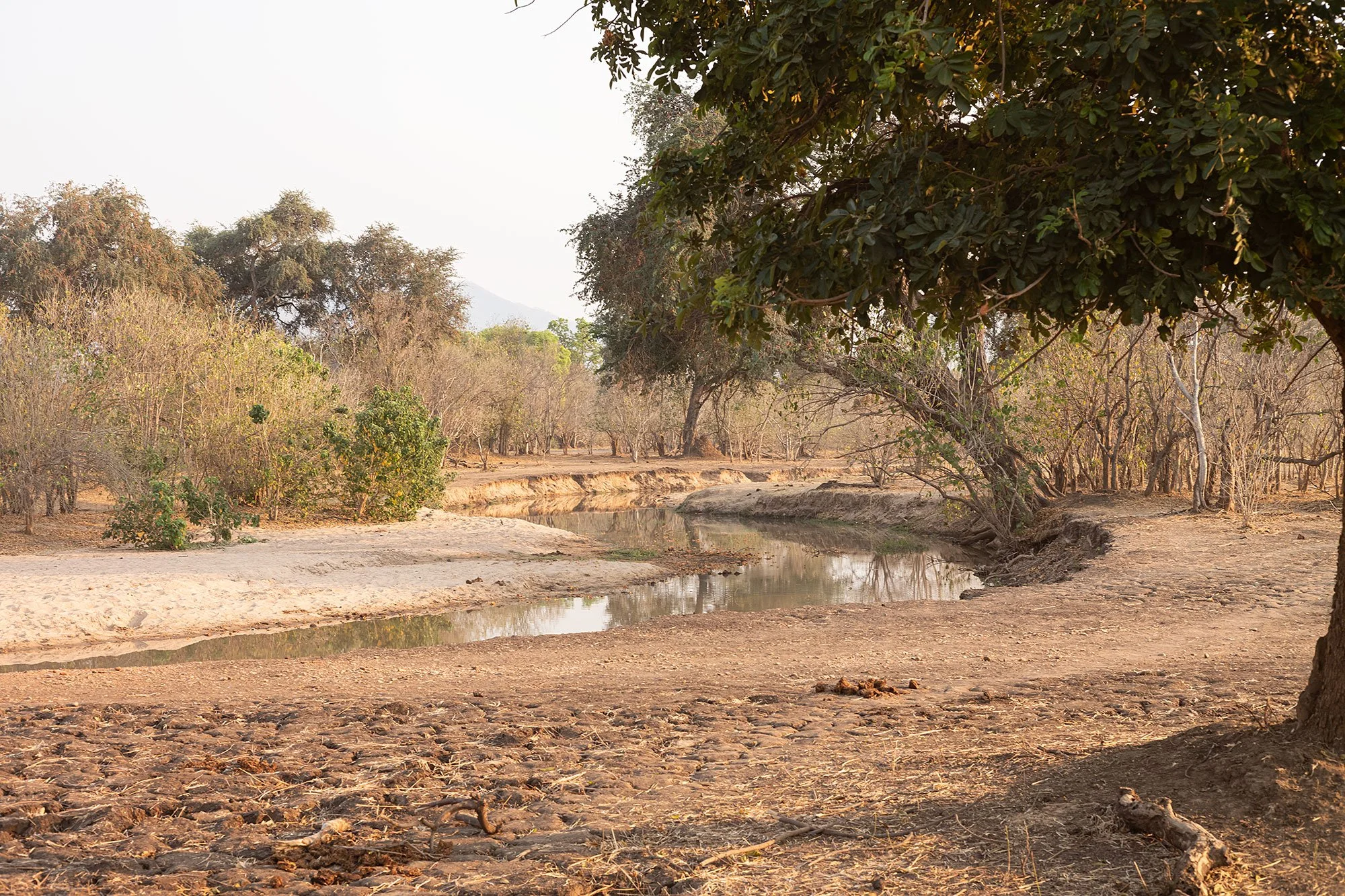 Mana Pools, Zimbabwe.