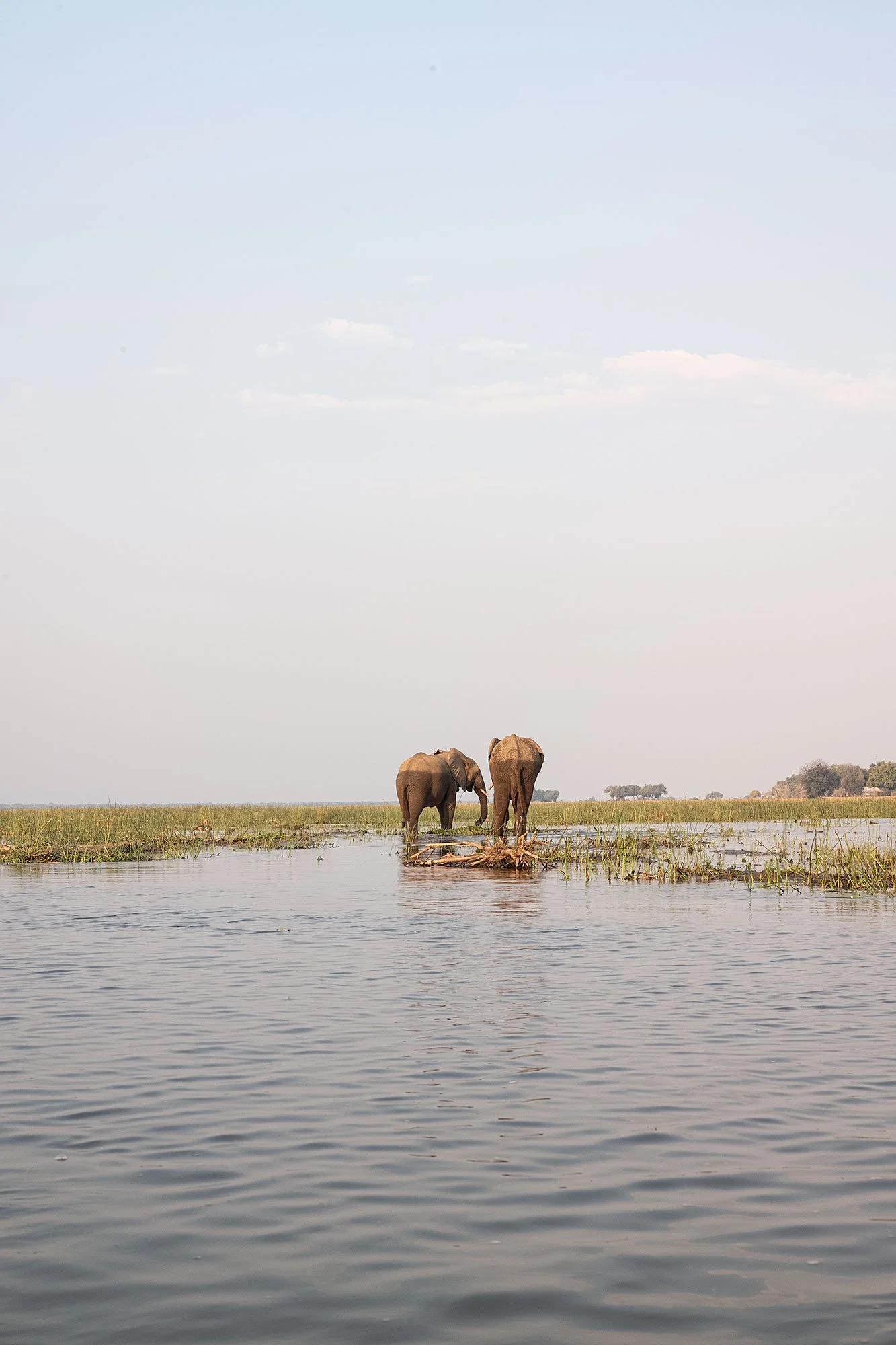 Canoeing on the Zambezi River. Mana Pools, Zimbabwe.