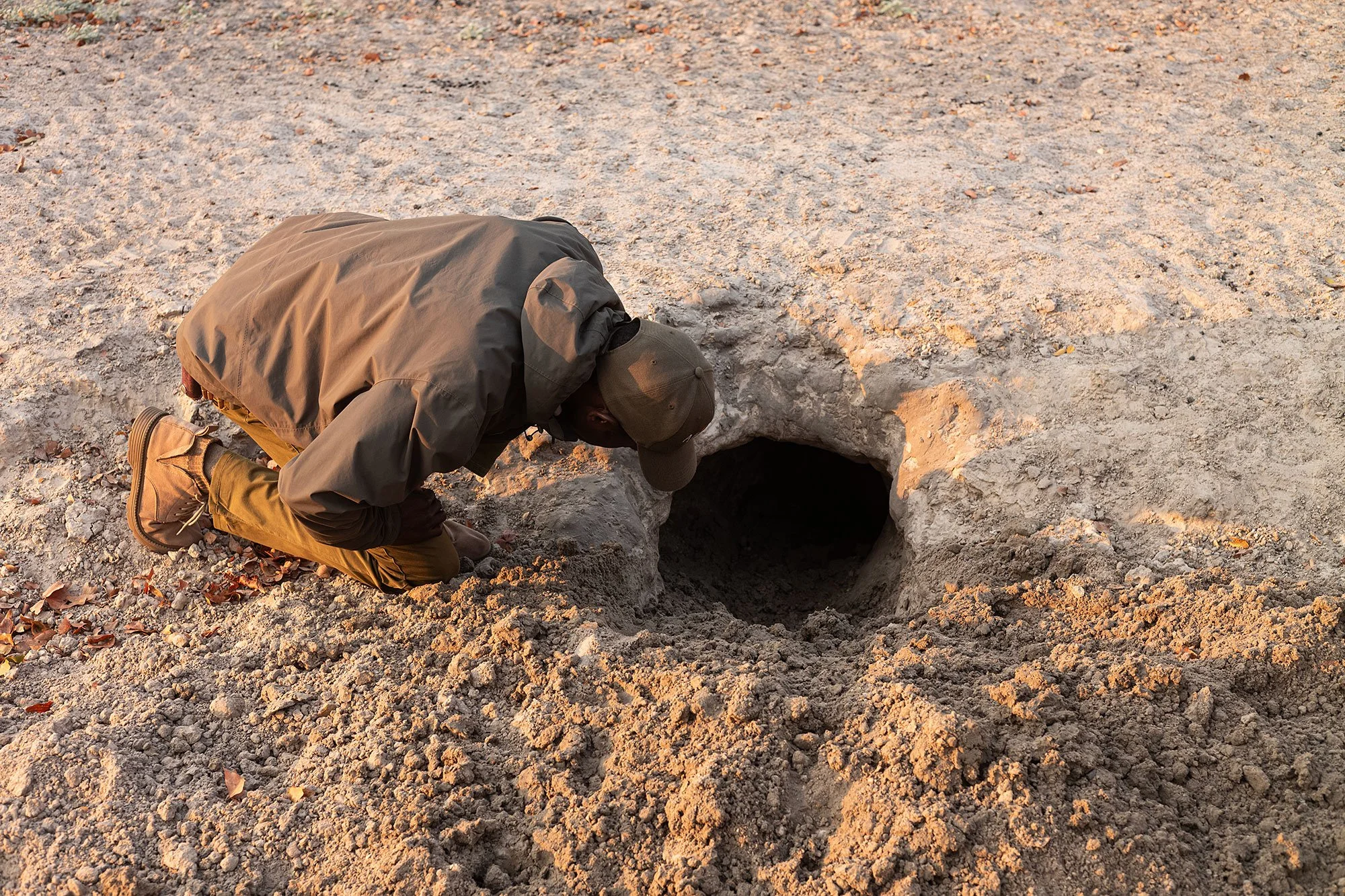 Mana Pools, Zimbabawe.