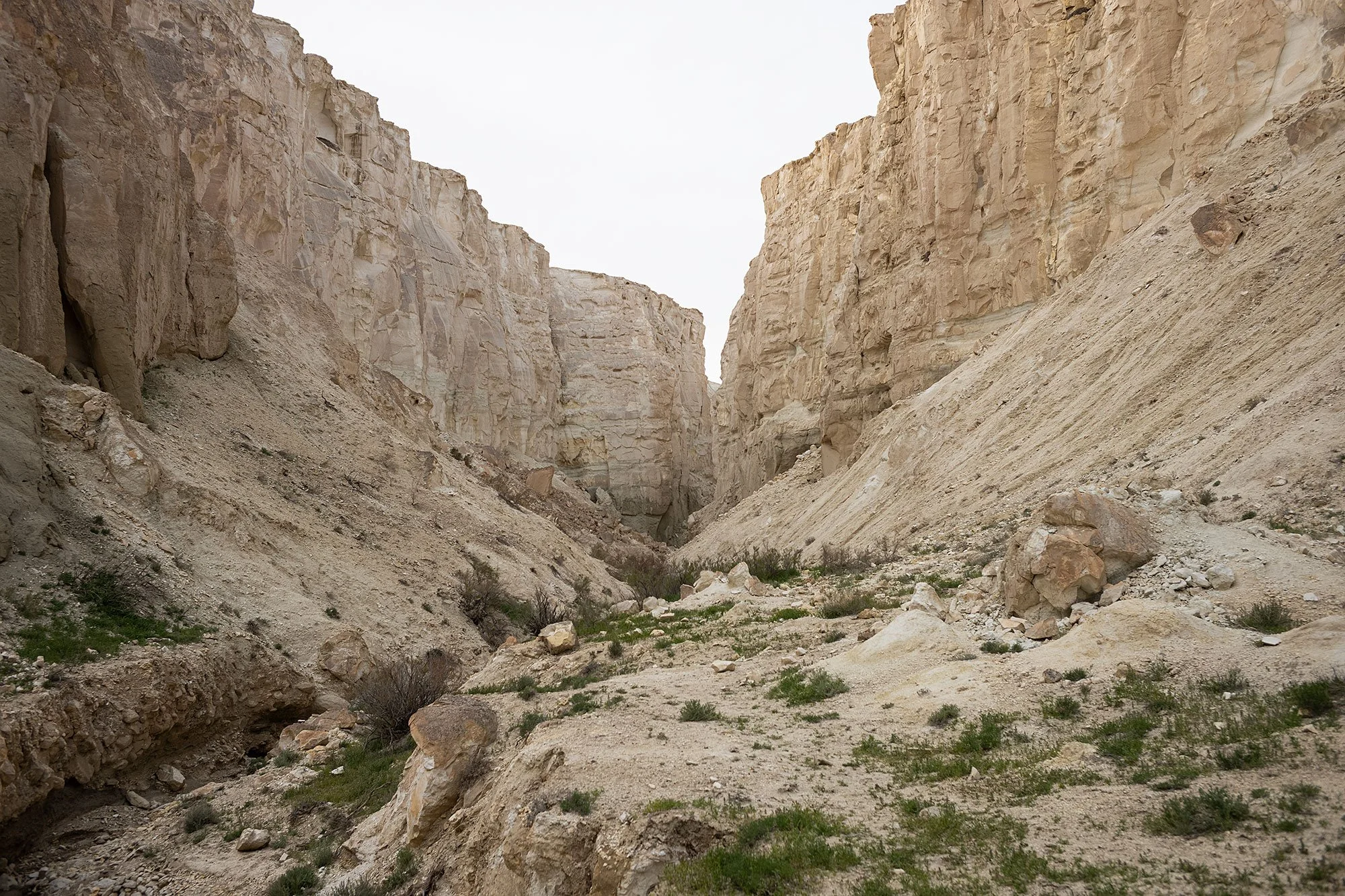 Ustyurt Plateau in the Mangystau Region of western Kazakhstan
