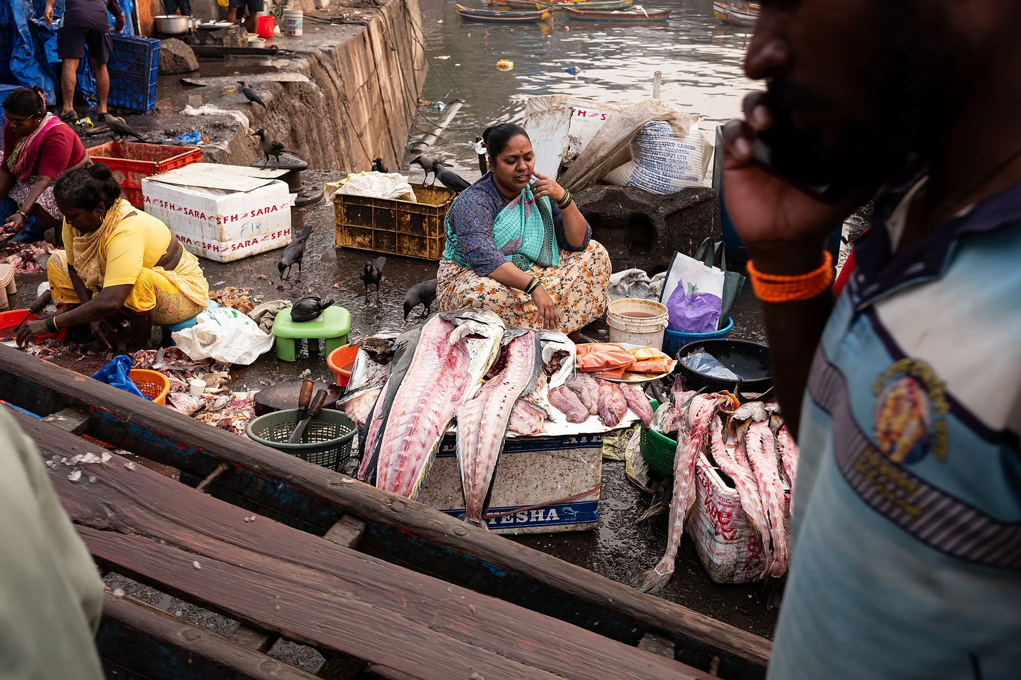 Sassoon Dock jetty fish market. Mumbai, India.