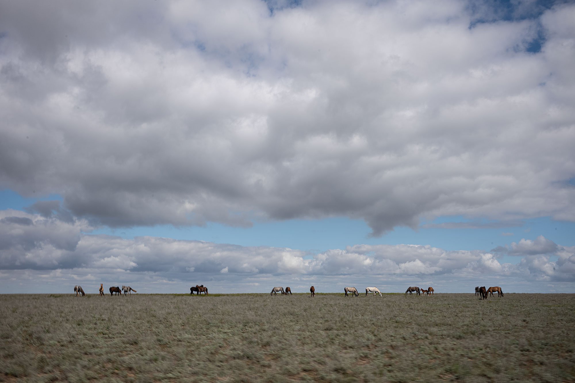 Mangystau, Kazakhstan.