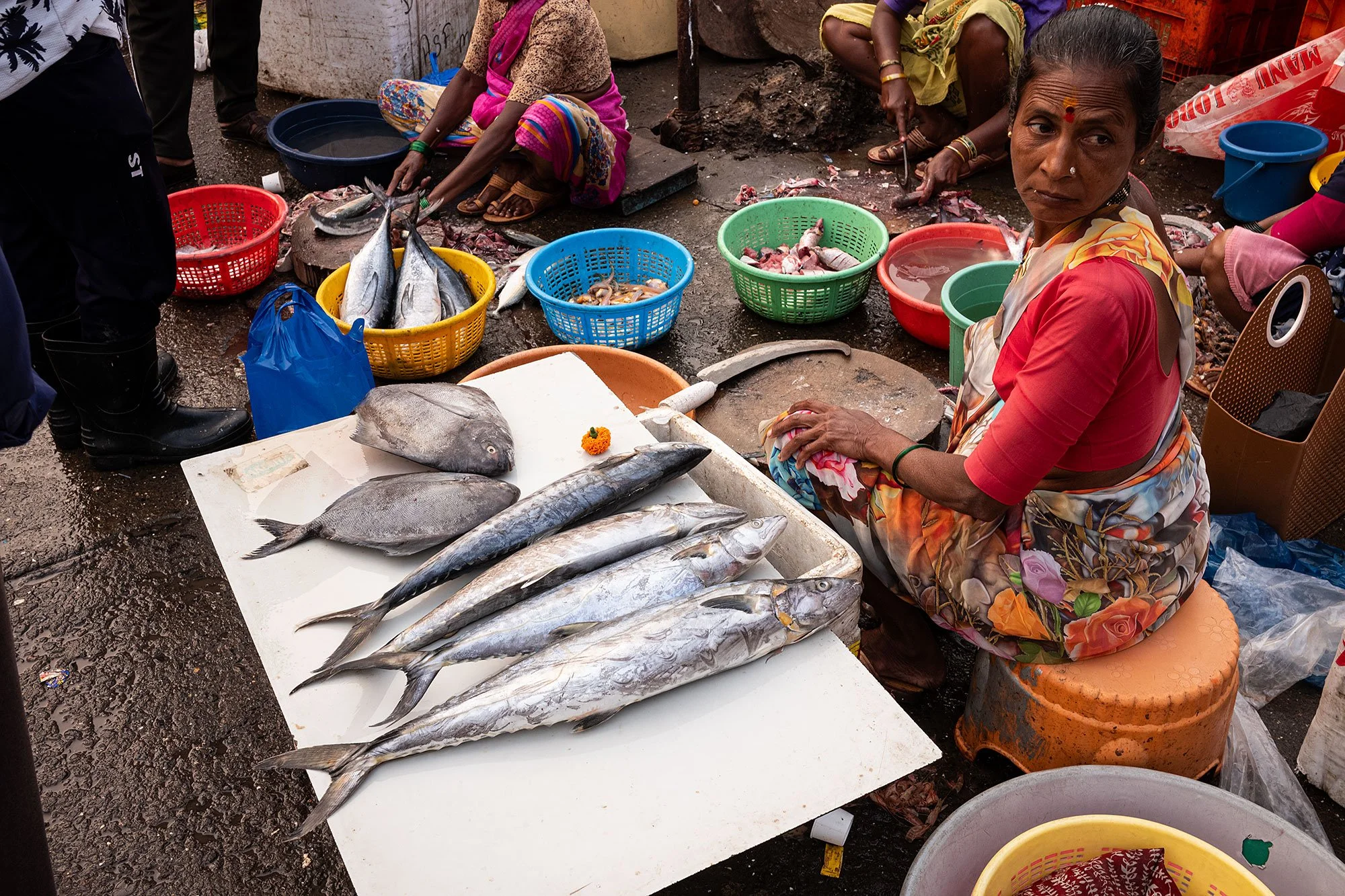 Sassoon dock jetty. Mumbai, India.