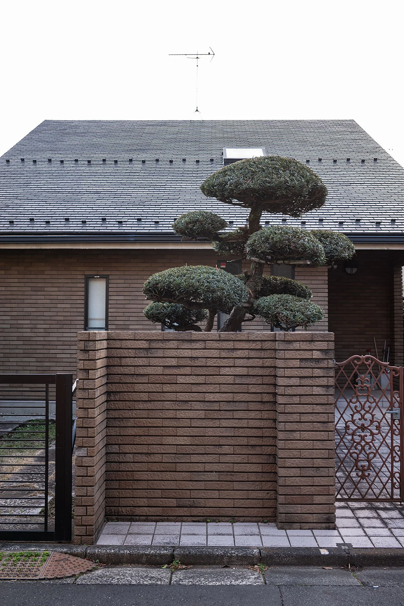 Nishihara. Tokyo, Japan.