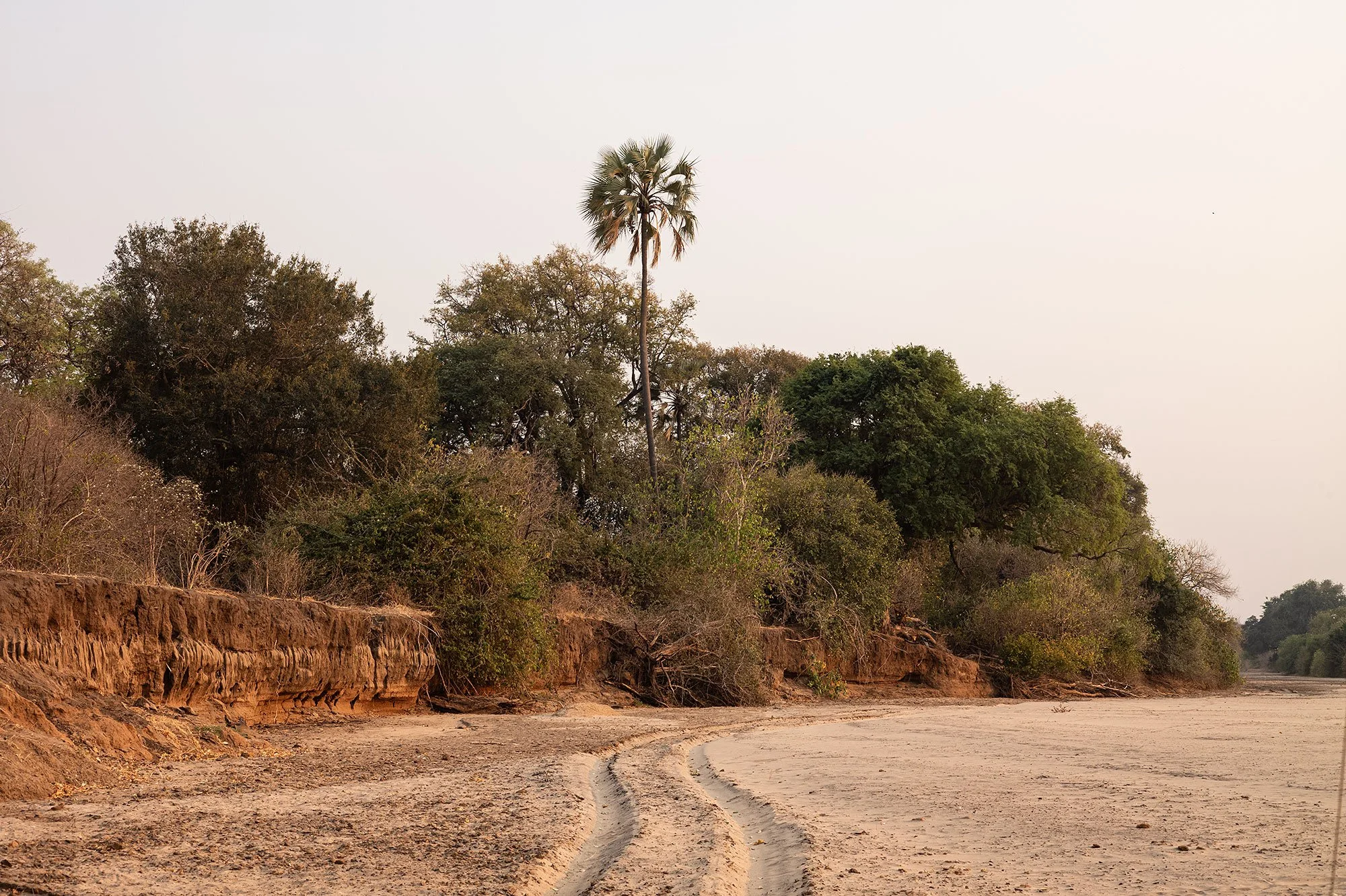 Mana Pools, Zimbabwe.