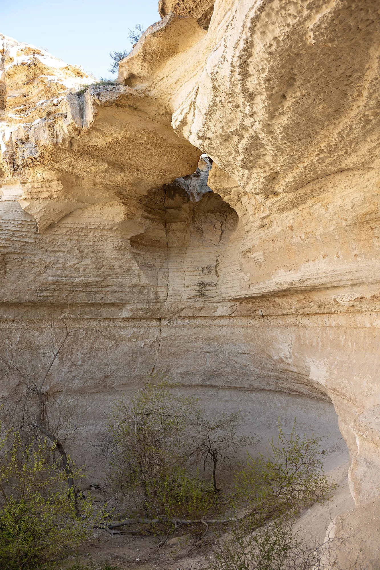 Kapamsay Canyon. Mangystau, Kazkhstan.