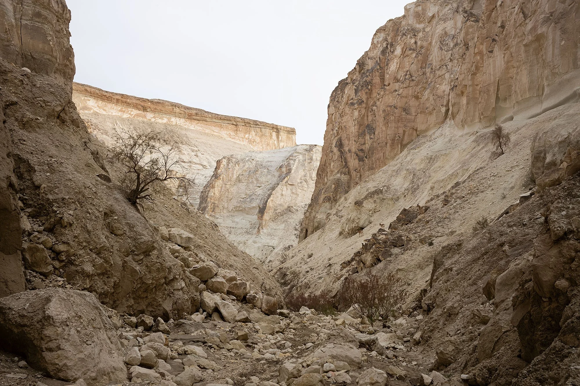 Ustyurt Plateau in the Mangystau Region of western Kazakhstan