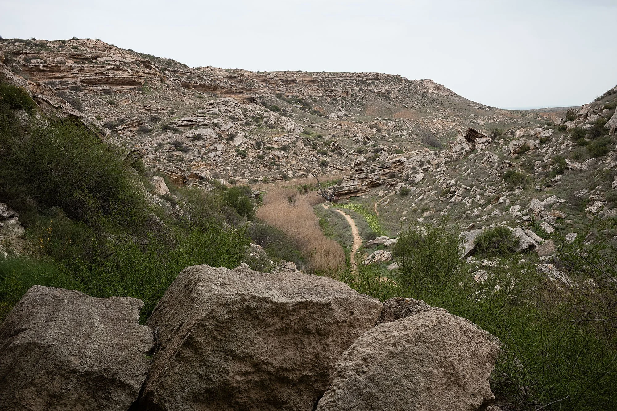 Tamshaly Canyon. Mangistau, Kazakhstah.