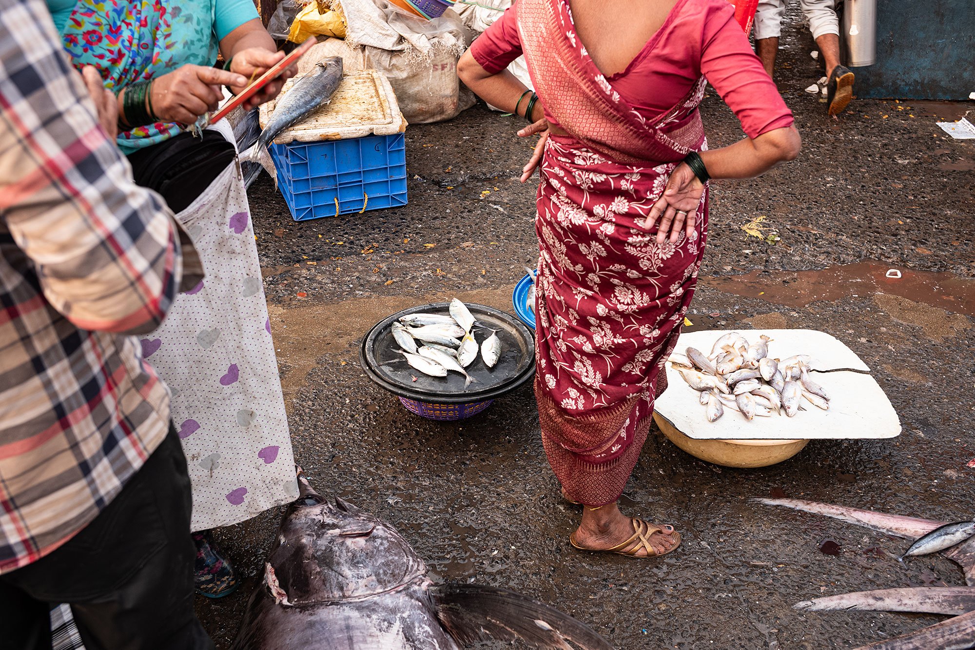 Sassoon Dock jetty fish market. Mumbai, India.
