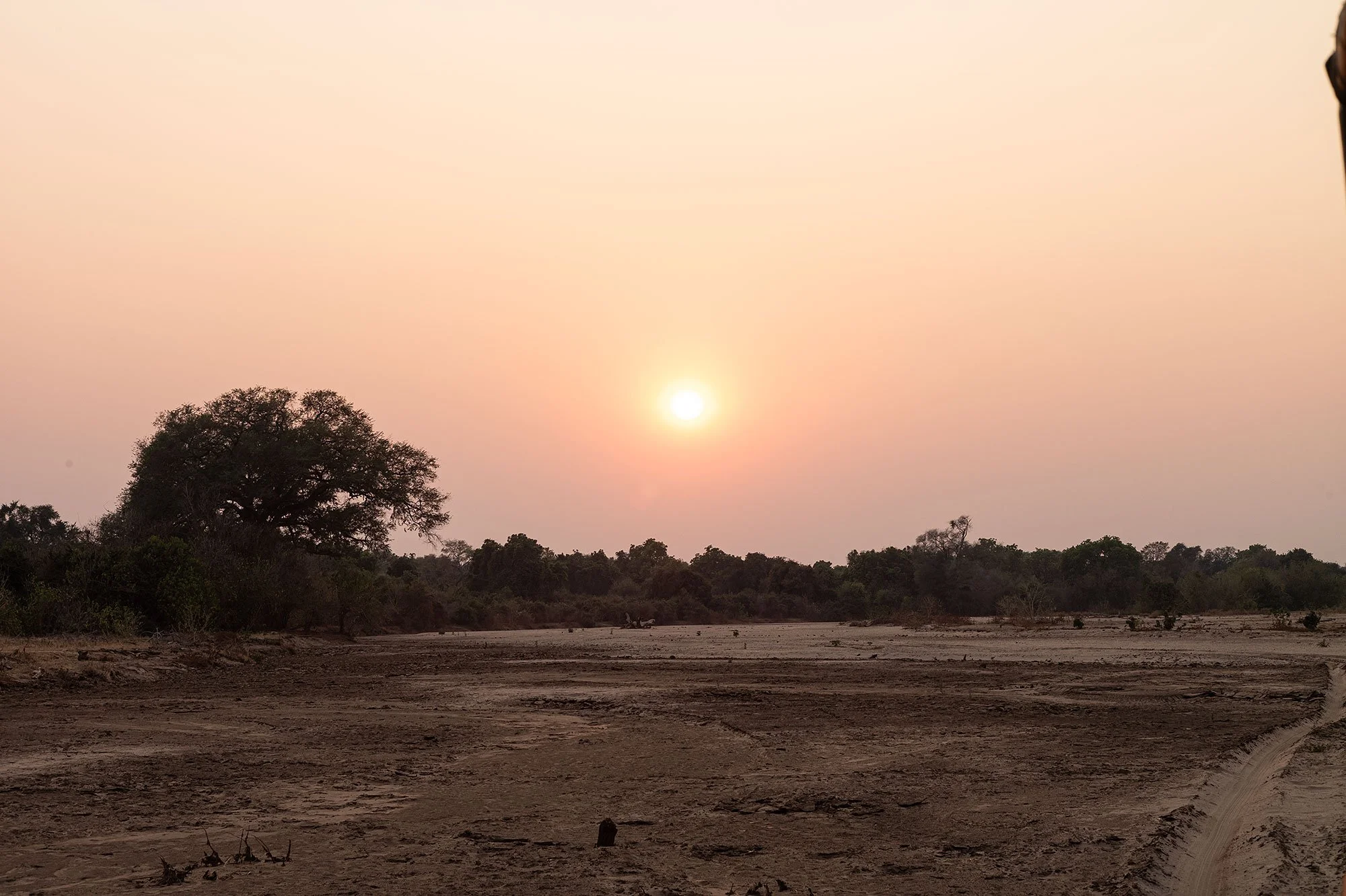 Mana Pools, Zimbabwe.