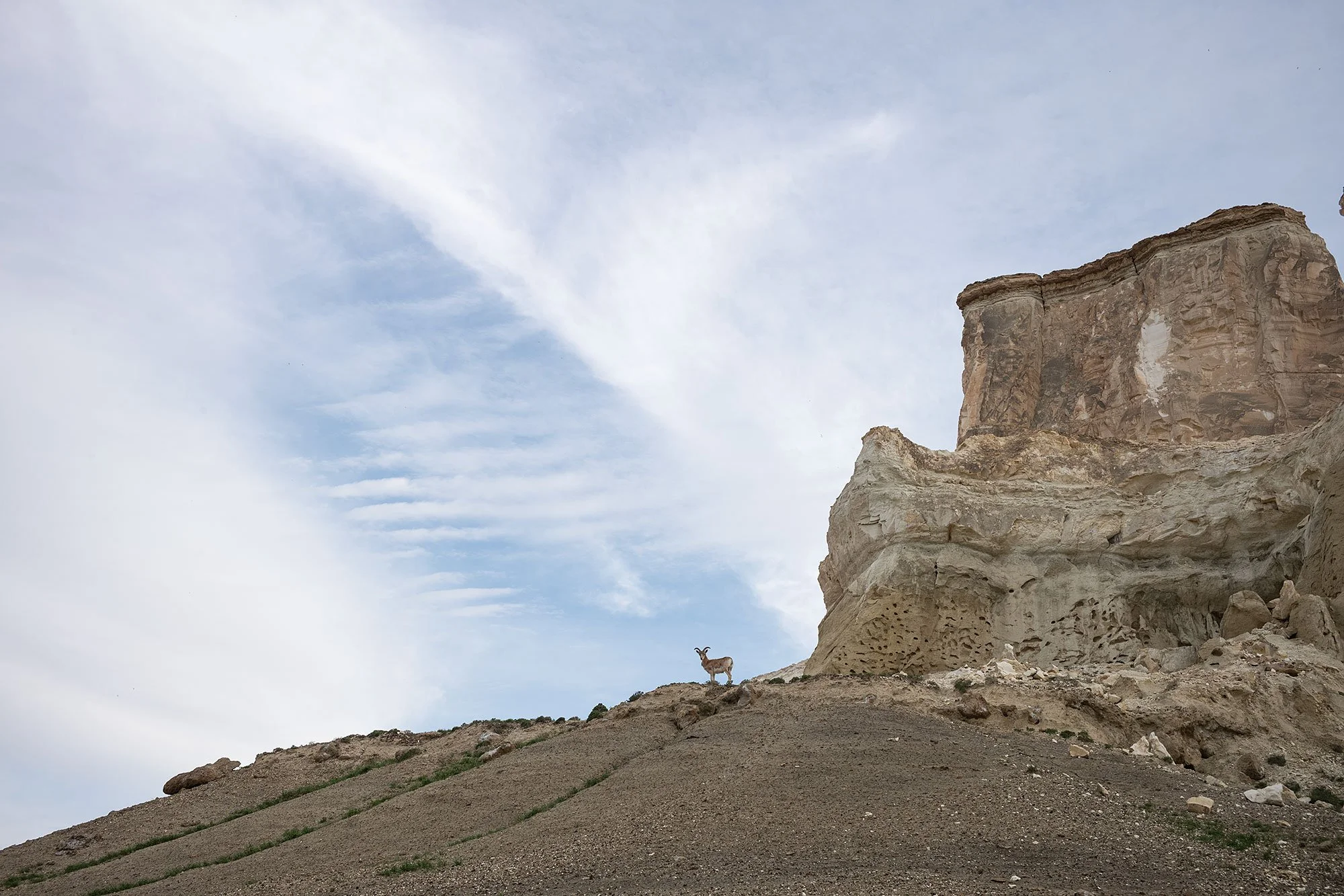 Ustyurt Plateau in the Mangystau Region of western Kazakhstan