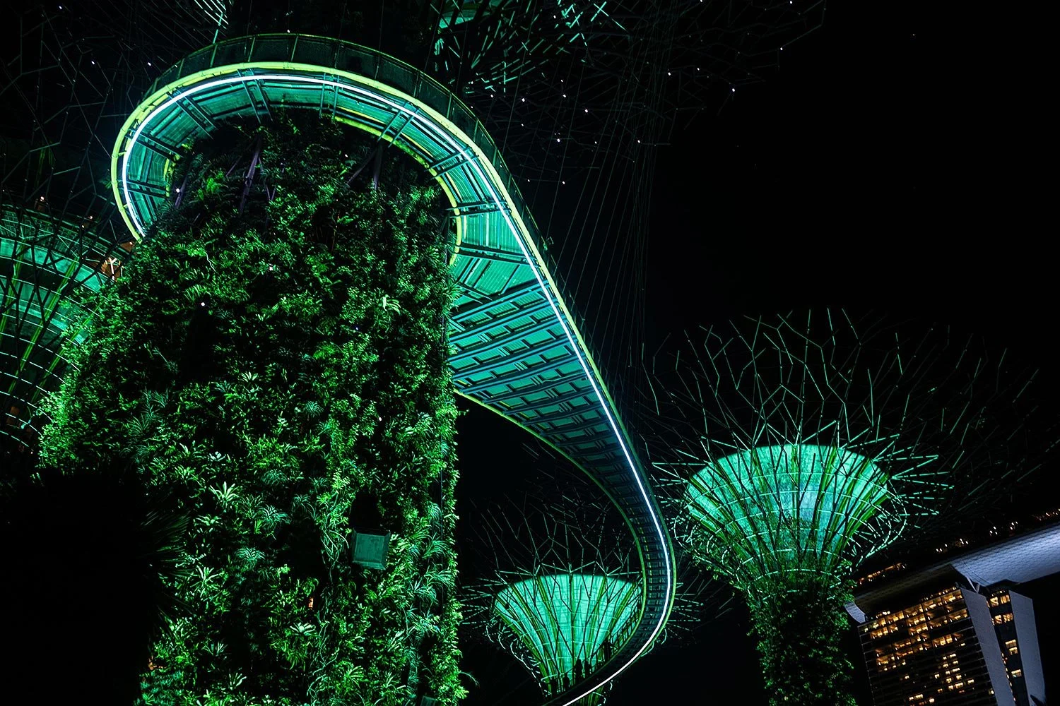 Supertree Grove, Gardens by the Bay, Singapore.