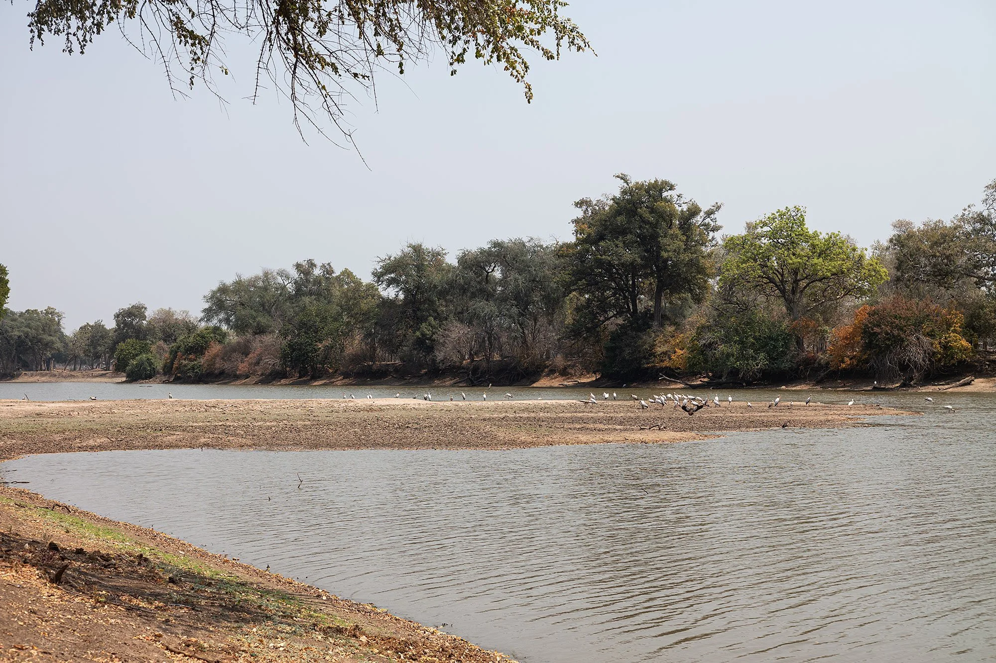 Mana Pools, Zimbabwe.