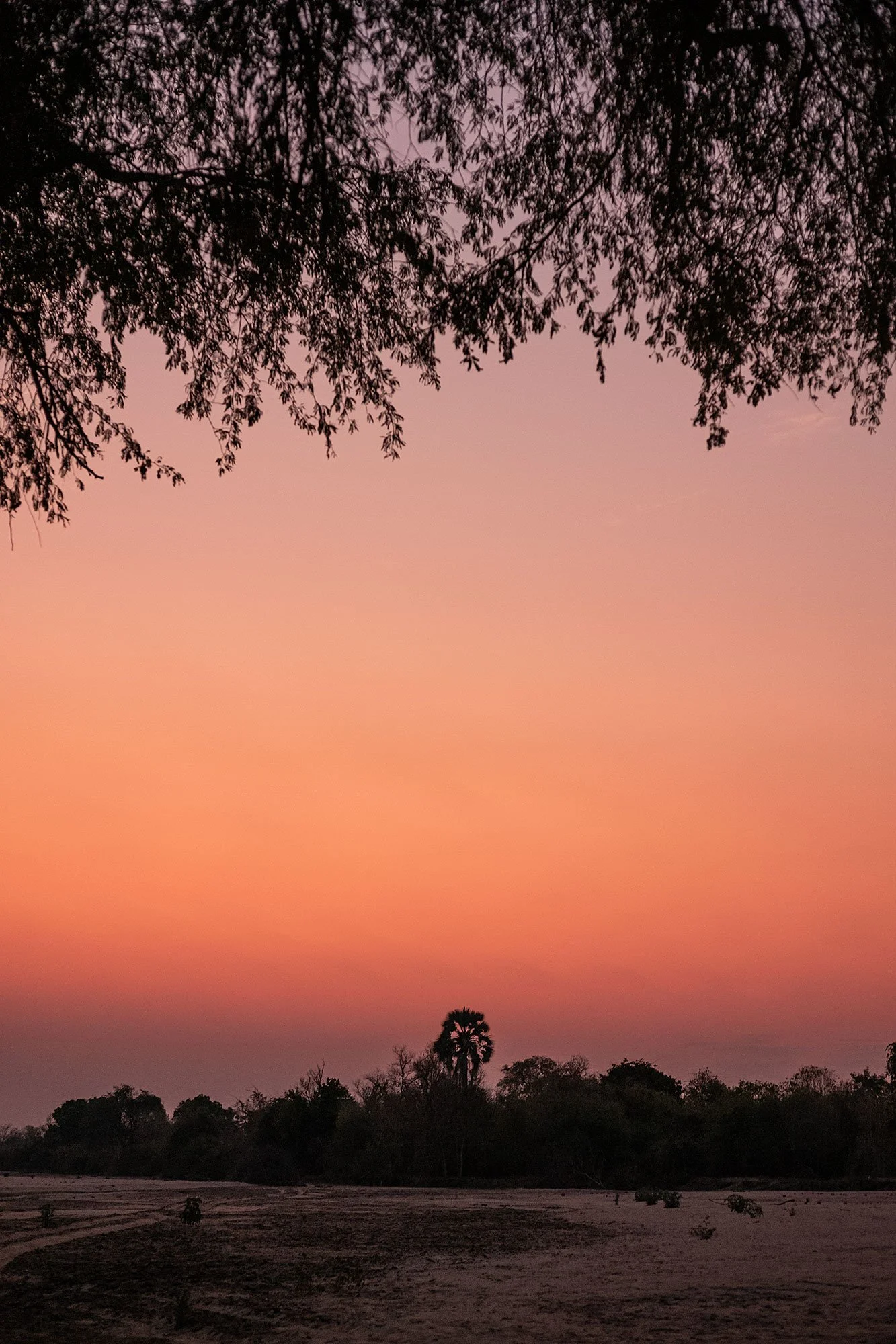 Mana Pools, Zimbabwe.