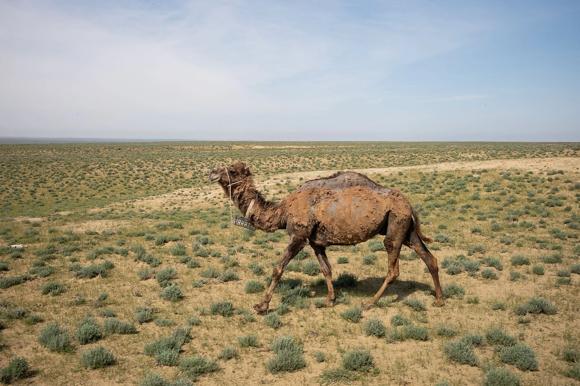 Mangystau, Kazakhstan.