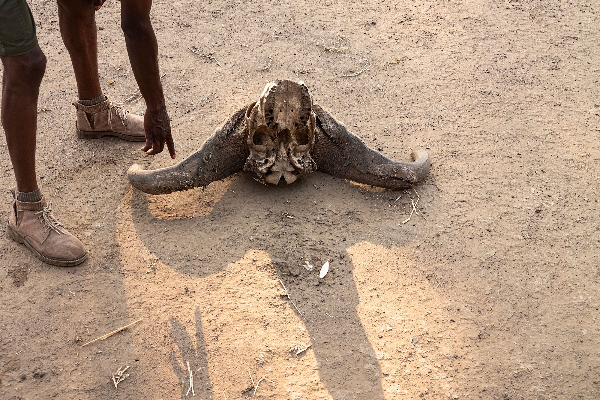 Mana Pools, Zimbabwe.
