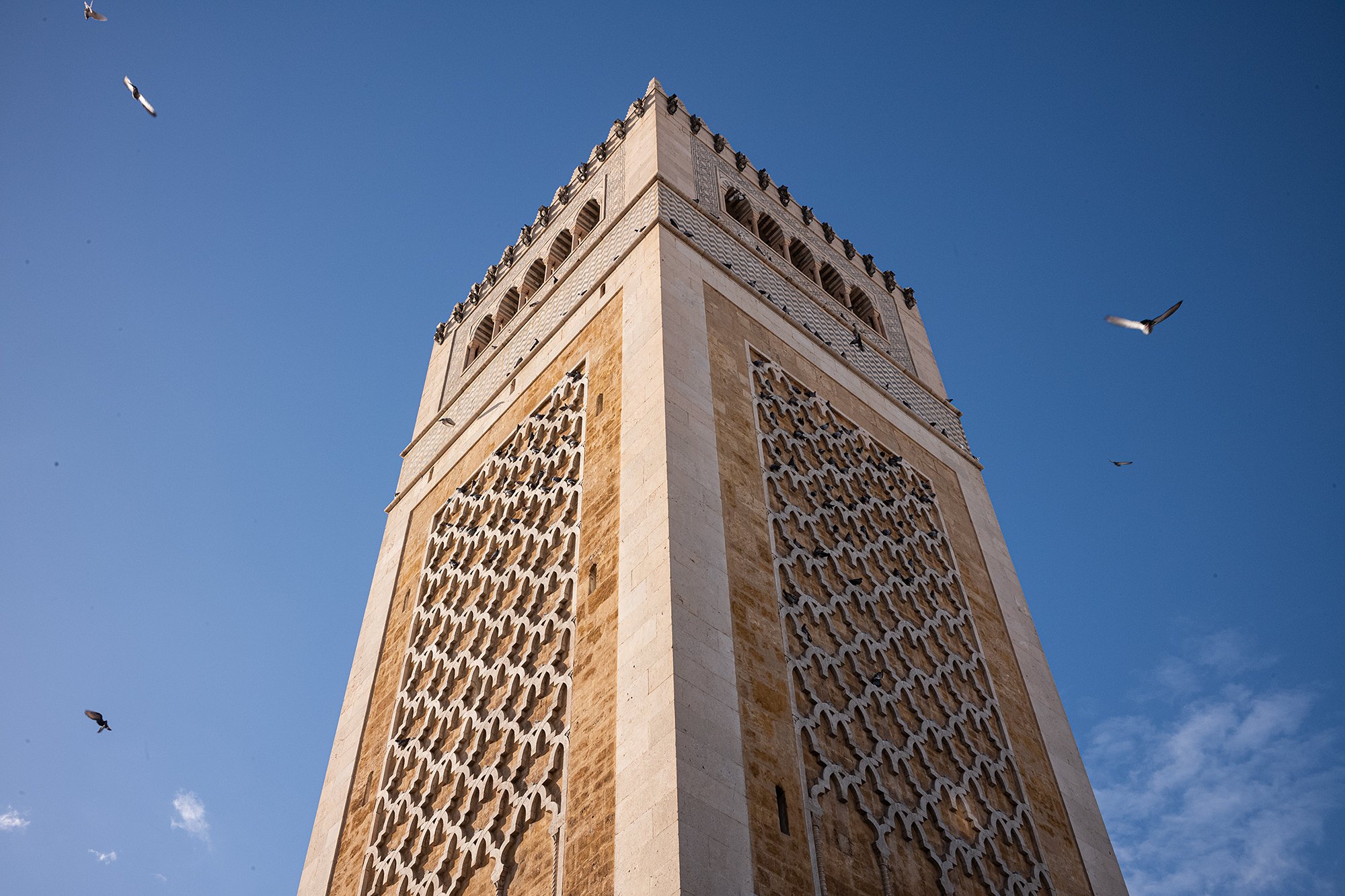 Ez-Zitouna Mosque, Tunis, Tunisia.