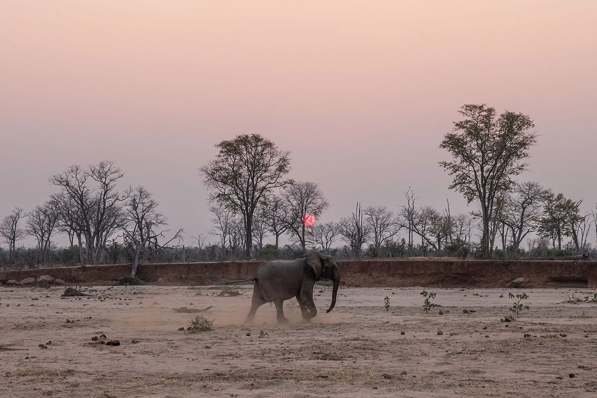 Sunset. Mana Pools, Zimbabwe.