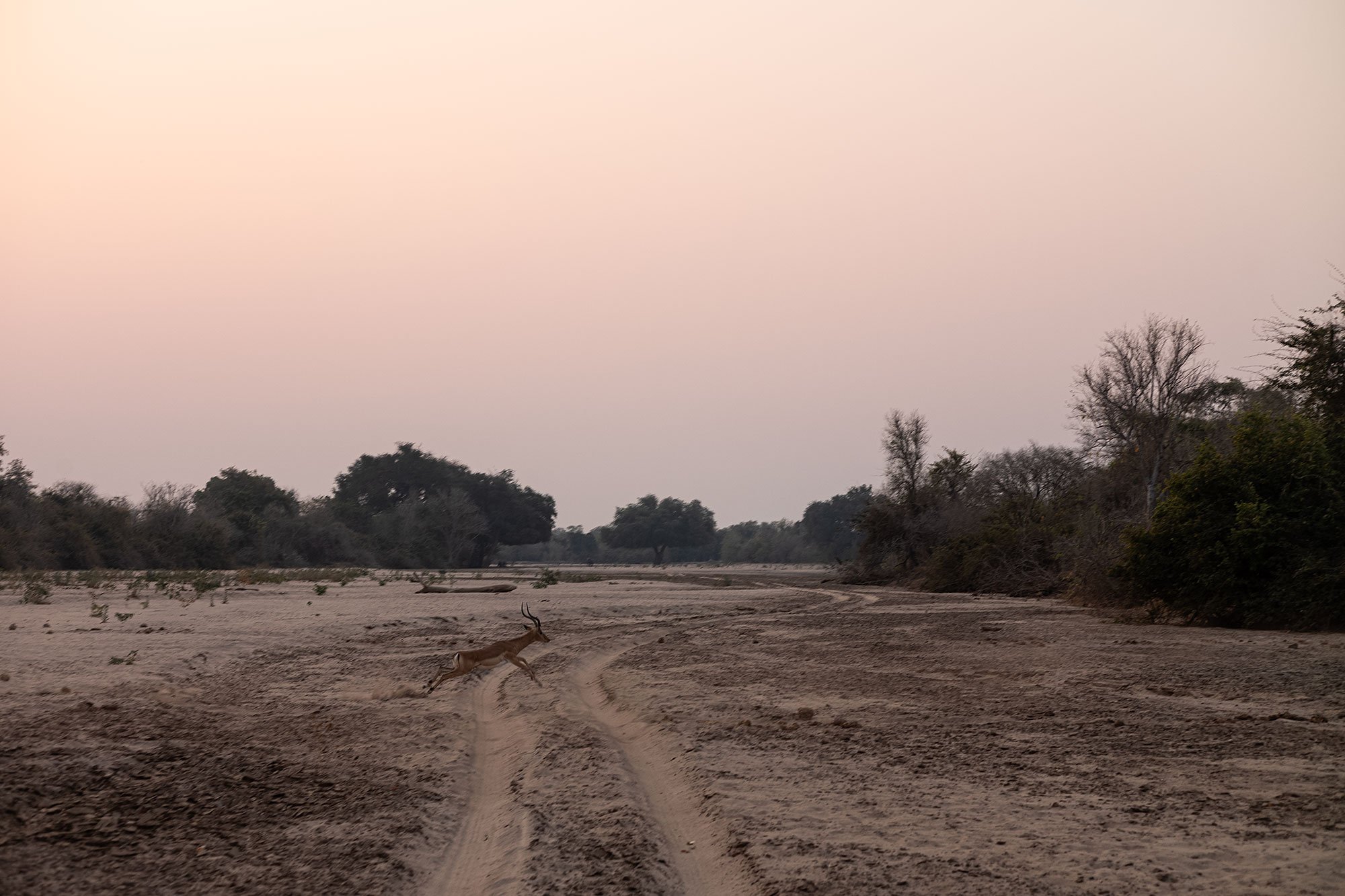 Sunset. Mana Pools, Zimbabwe.