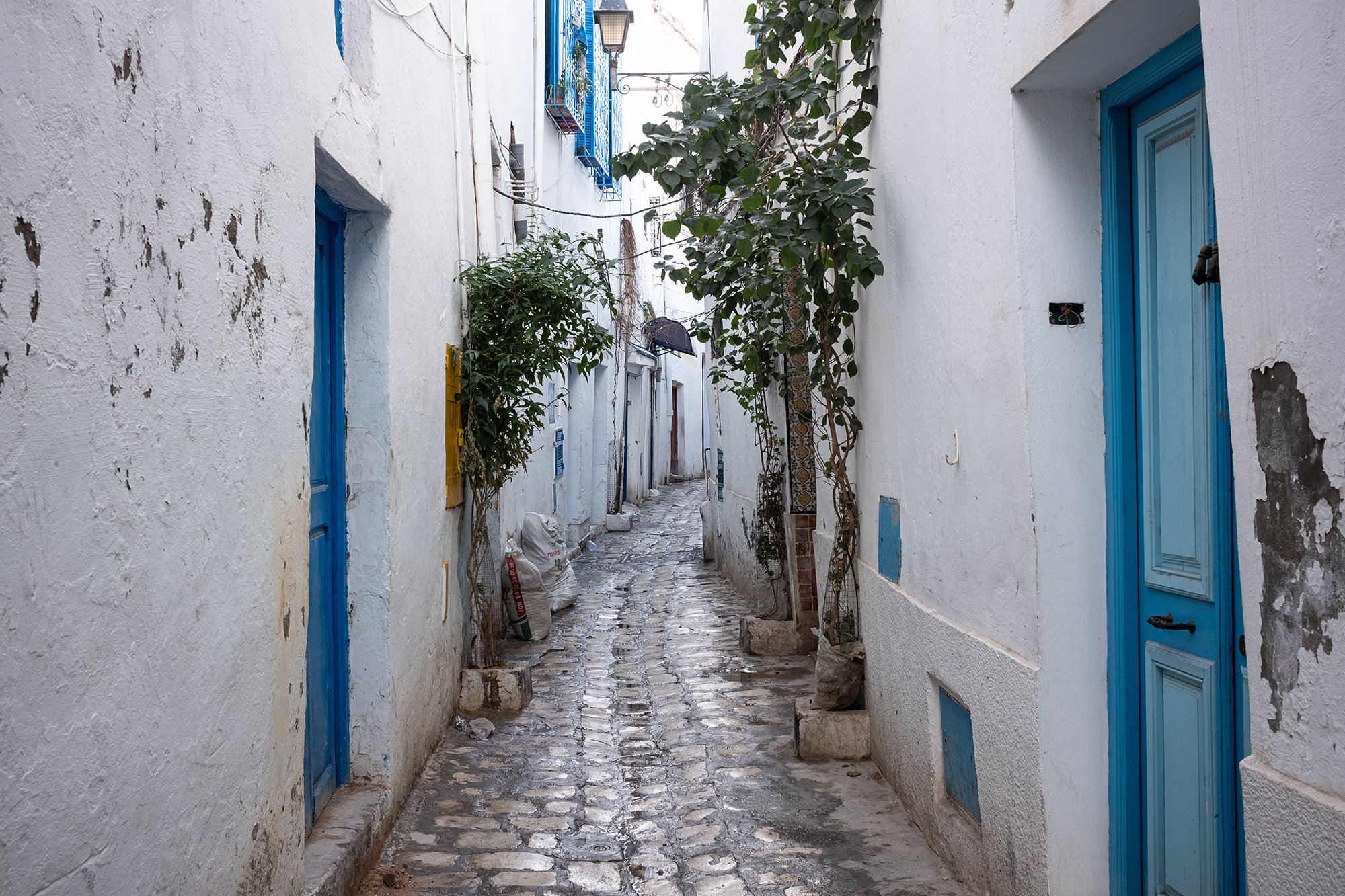 Medina de Tunis, Tunisia.