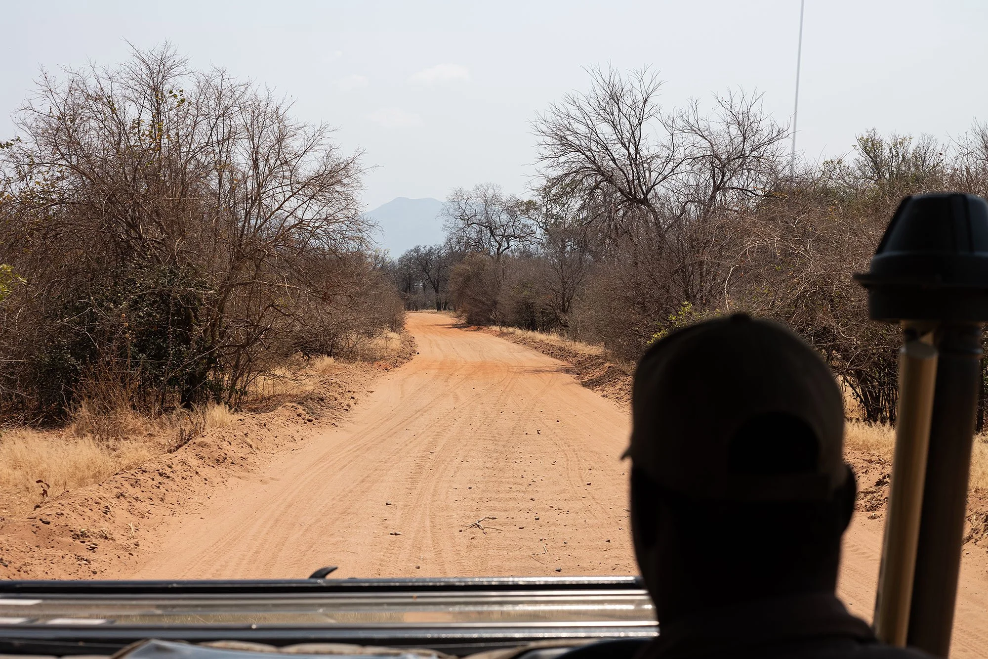Driving. Mana Pools, Zimbabwe.