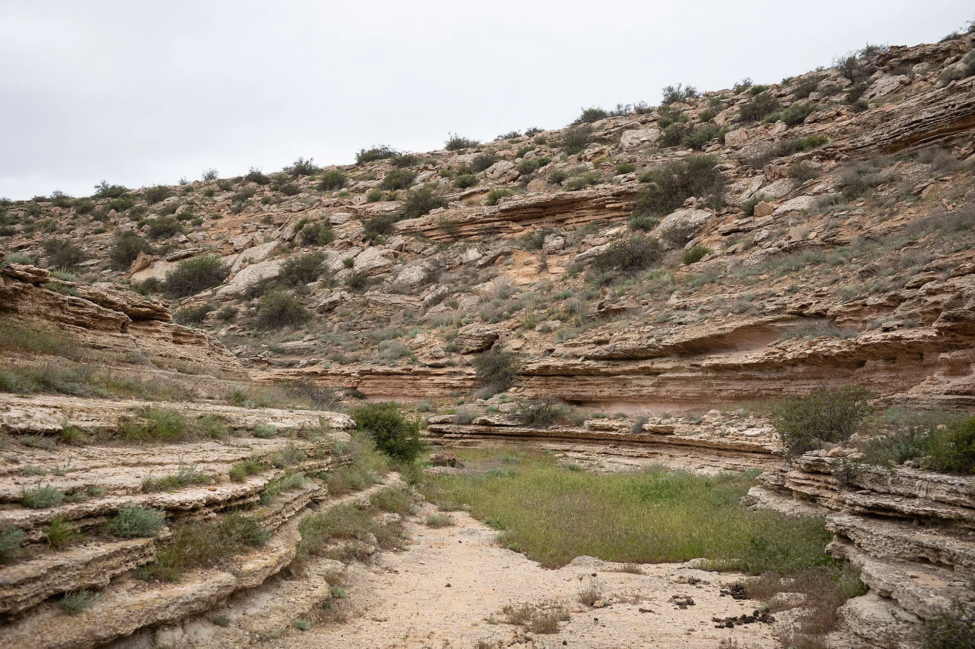 Tamshaly Canyon. Mangistau, Kazakhstah.
