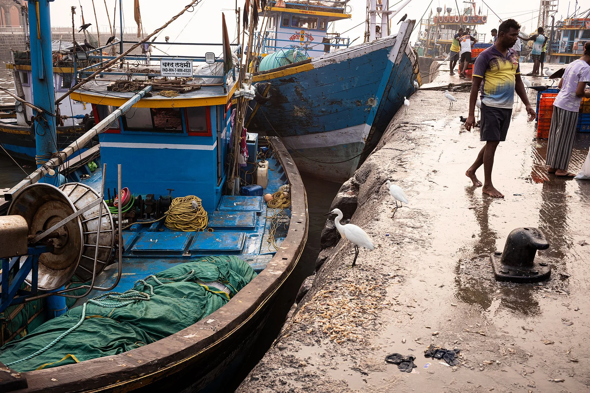 Sassoon Dock jetty fish market. Mumbai, India.