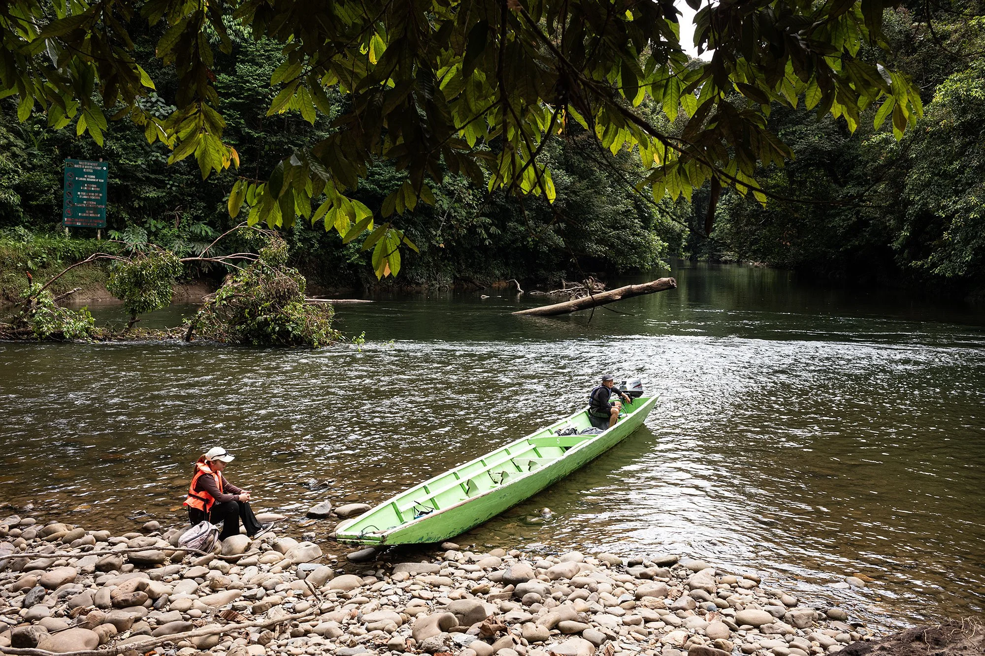 Ulu Temburong National Park, Brunei.