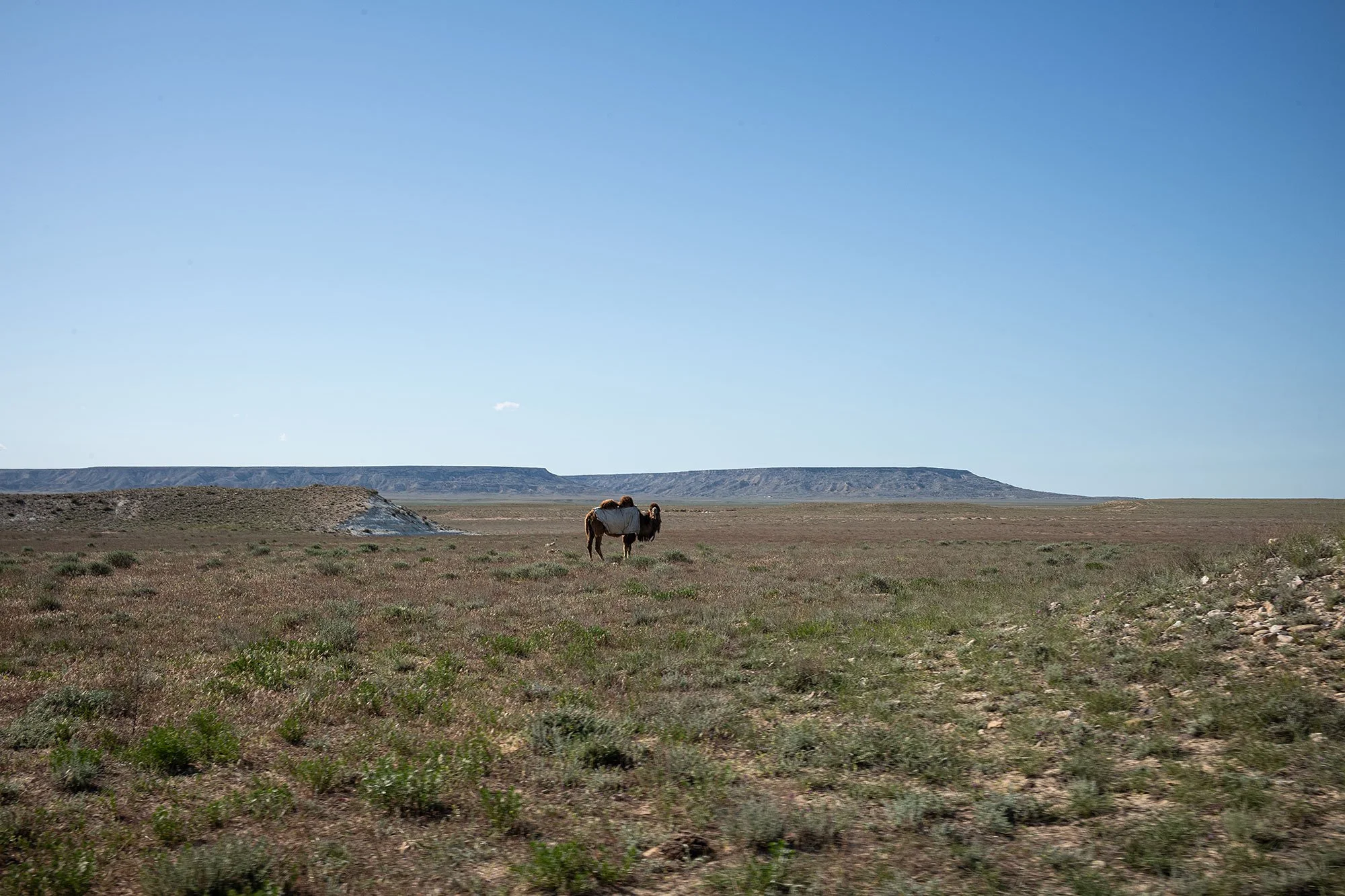 Mangystau, Kazakhstan.