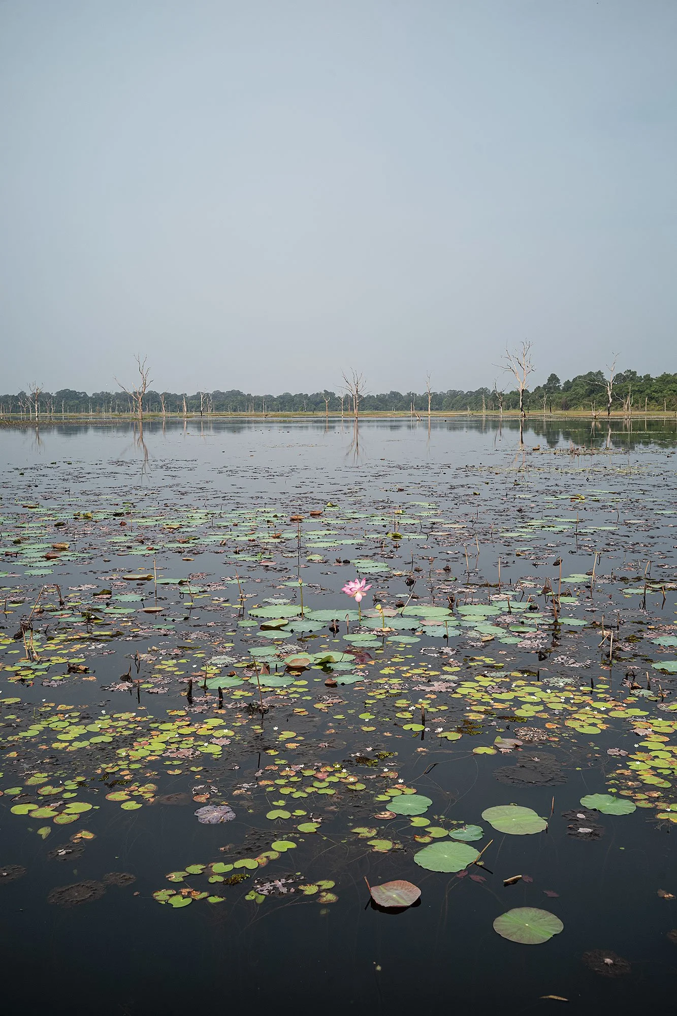 Approaching Neak Pean. Angkor, Cambodia.