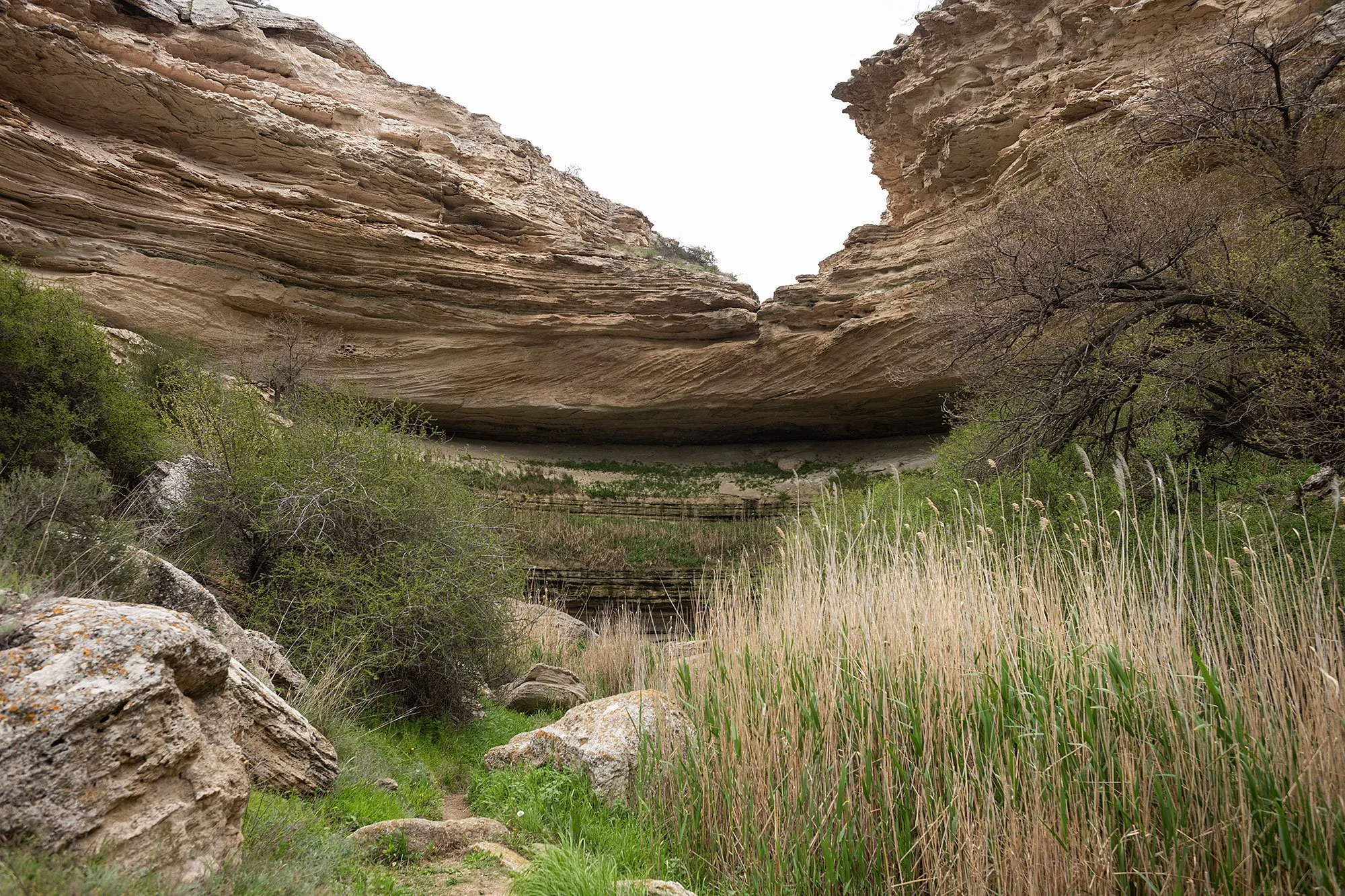 Tamshaly Canyon. Mangistau, Kazakhstah.