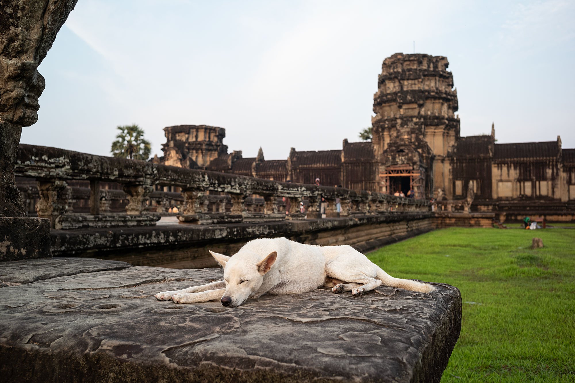 Angkor Wat at sunrise, Cambodia.