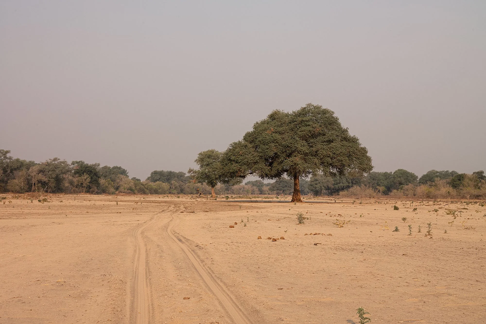 Mana Pools, Zimbabwe.
