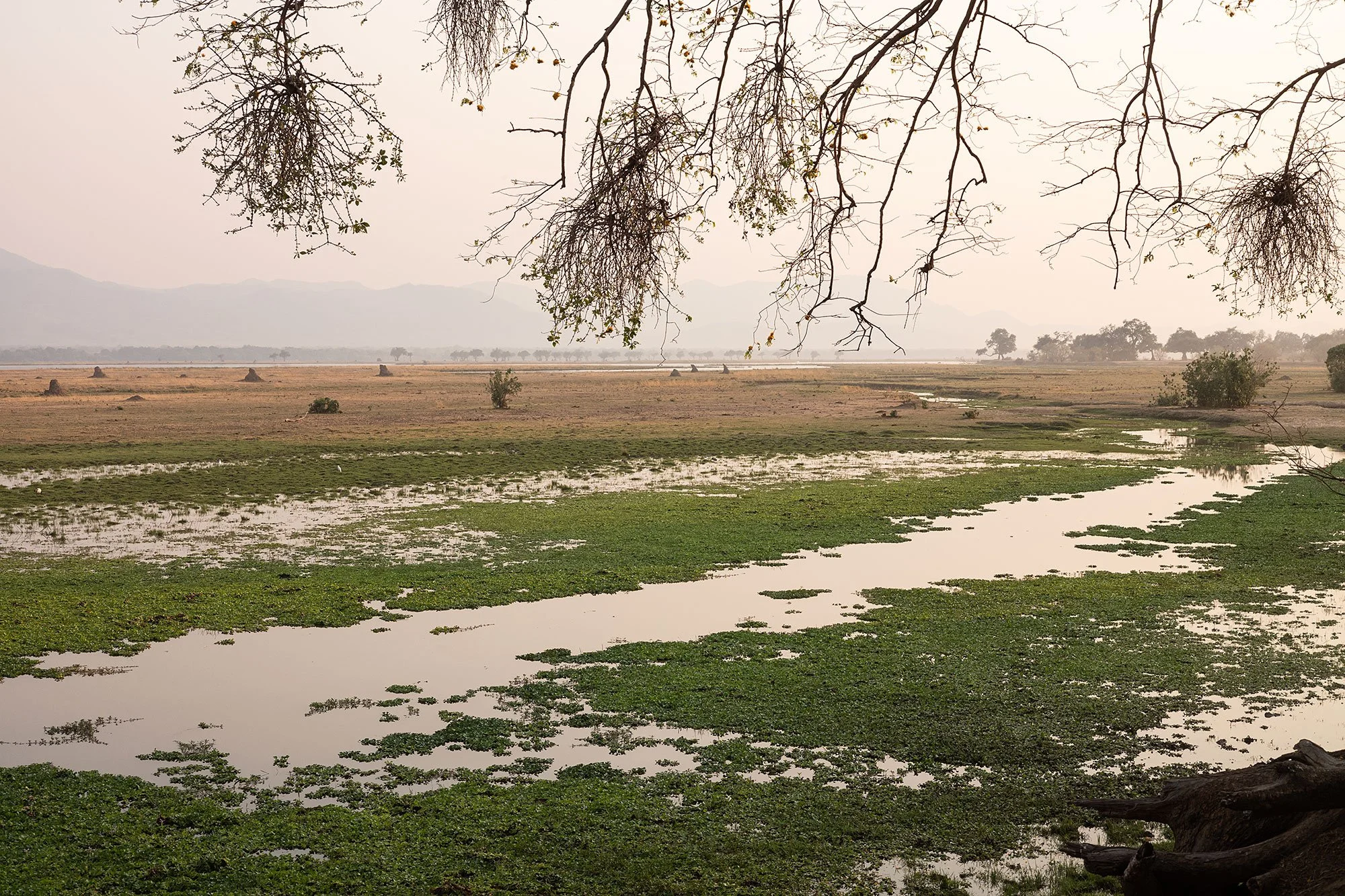 Mana Pools, Zimbabwe.