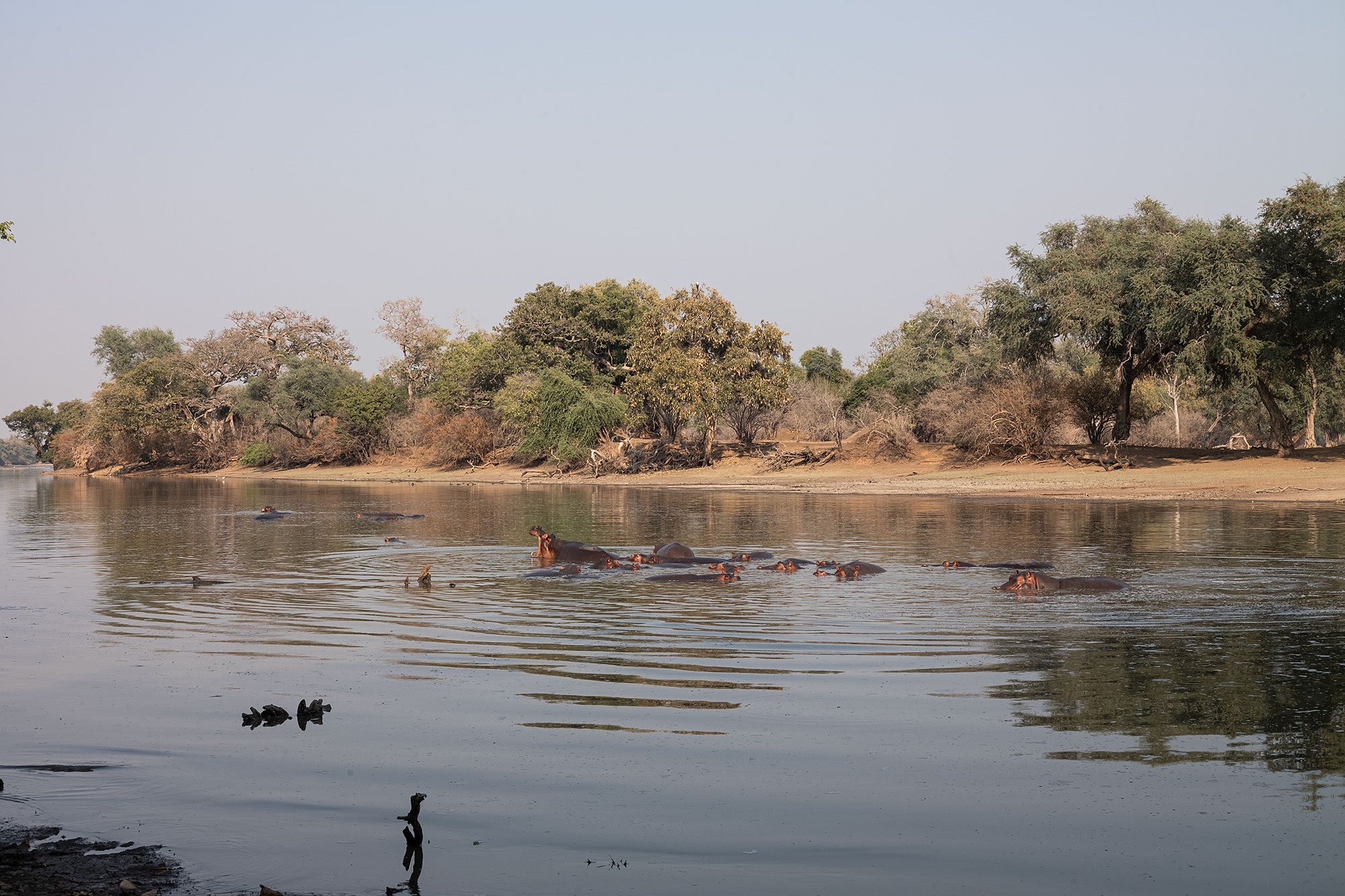 Mana Pools, Zimbabwe.