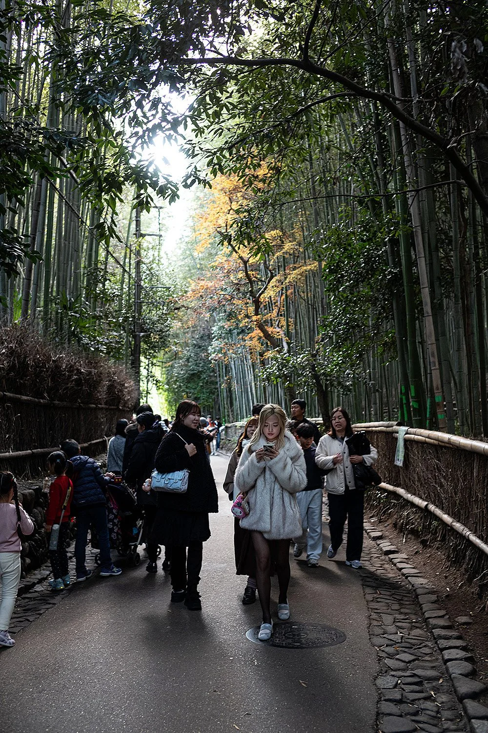 Arashiyama Bamboo Forest. Kyoto, Japan.