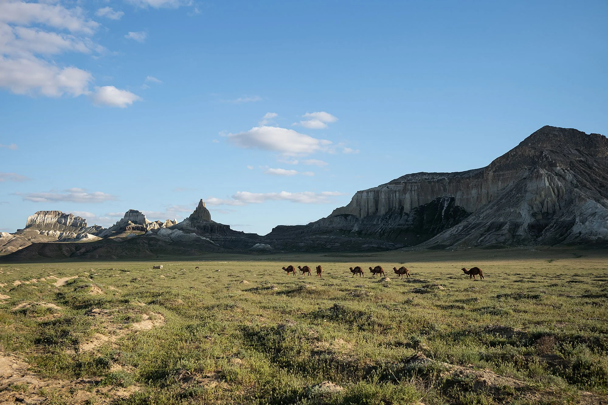 Airakty-Shomanai Mountains. Mangystau, Kazakhstan.