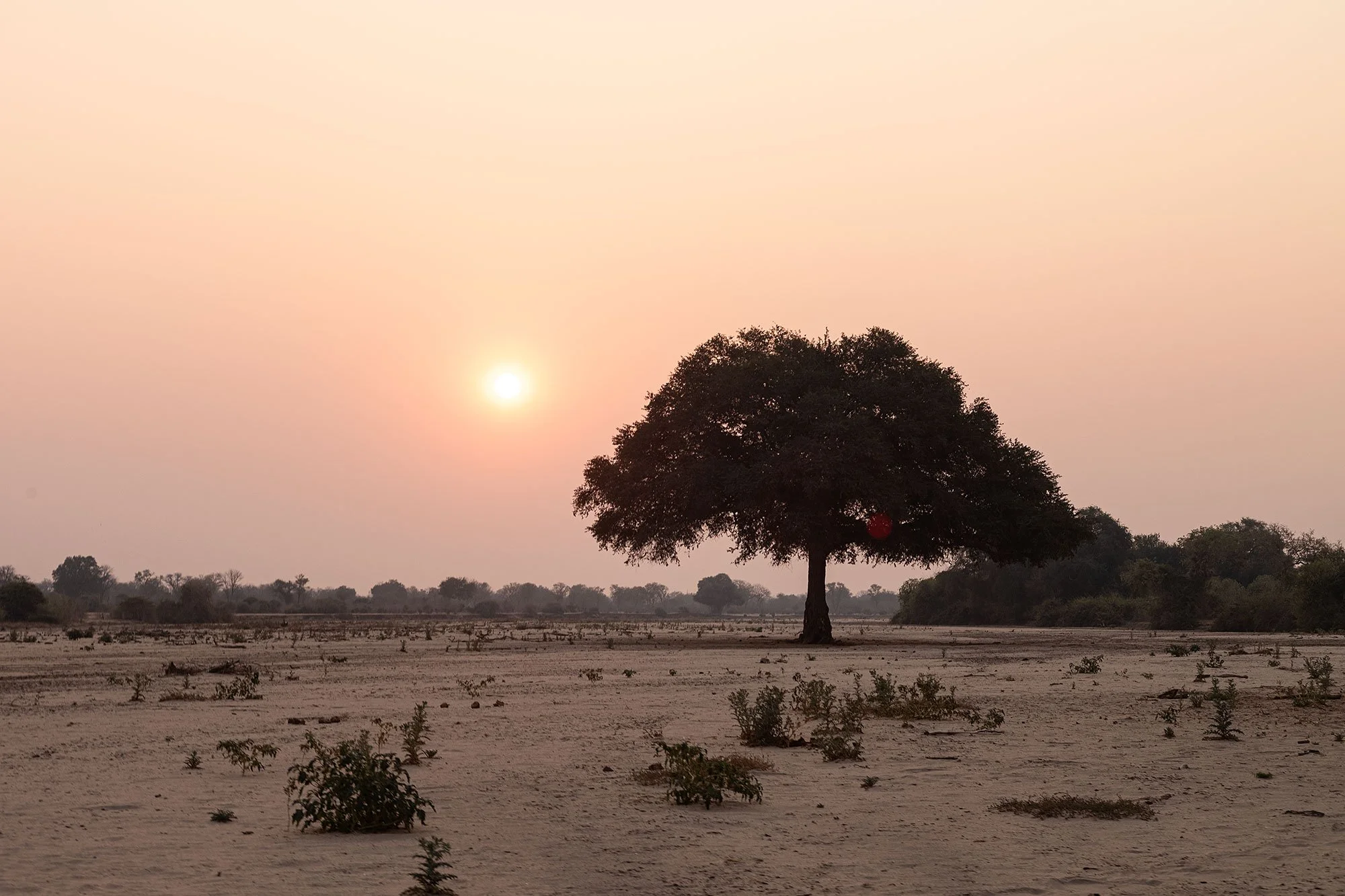 Sunset. Mana Pools, Zimbabwe.
