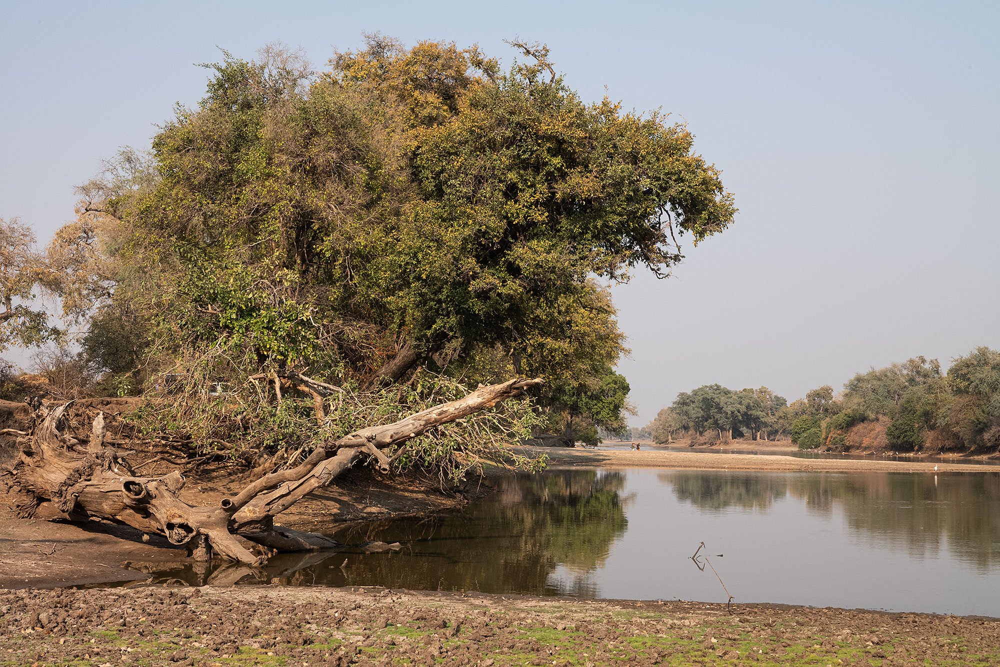 Mana Pools, Zimbabwe.