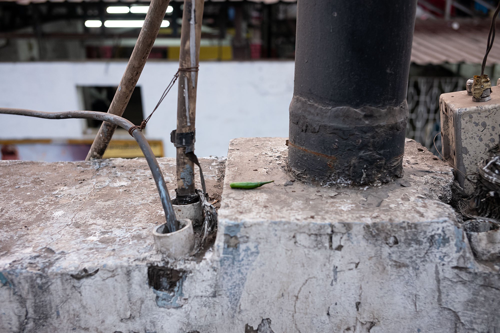 Bandar vegetable market Mumbai, India.