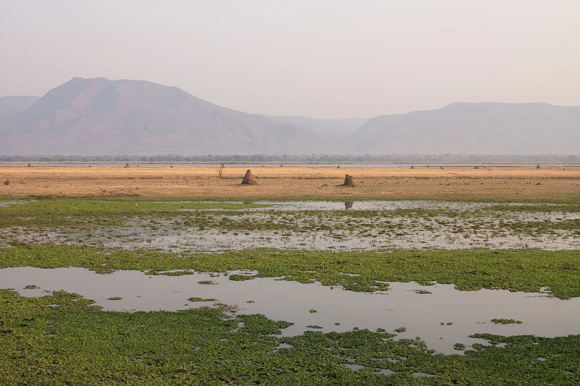 Mana Pools, Zimbabwe.