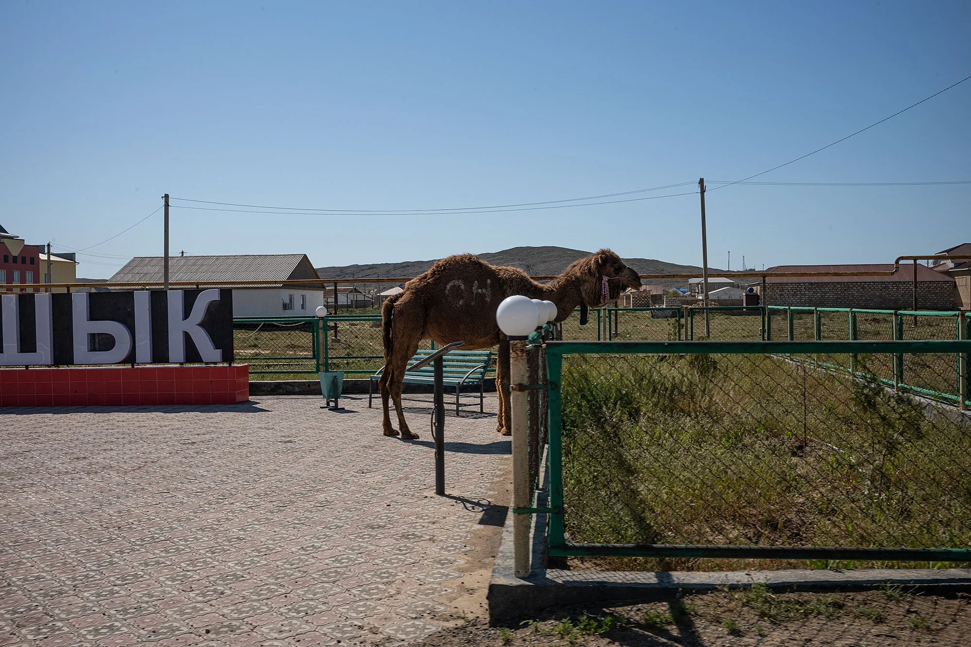 Kapamsay, Mangystau, Kazakhstan.