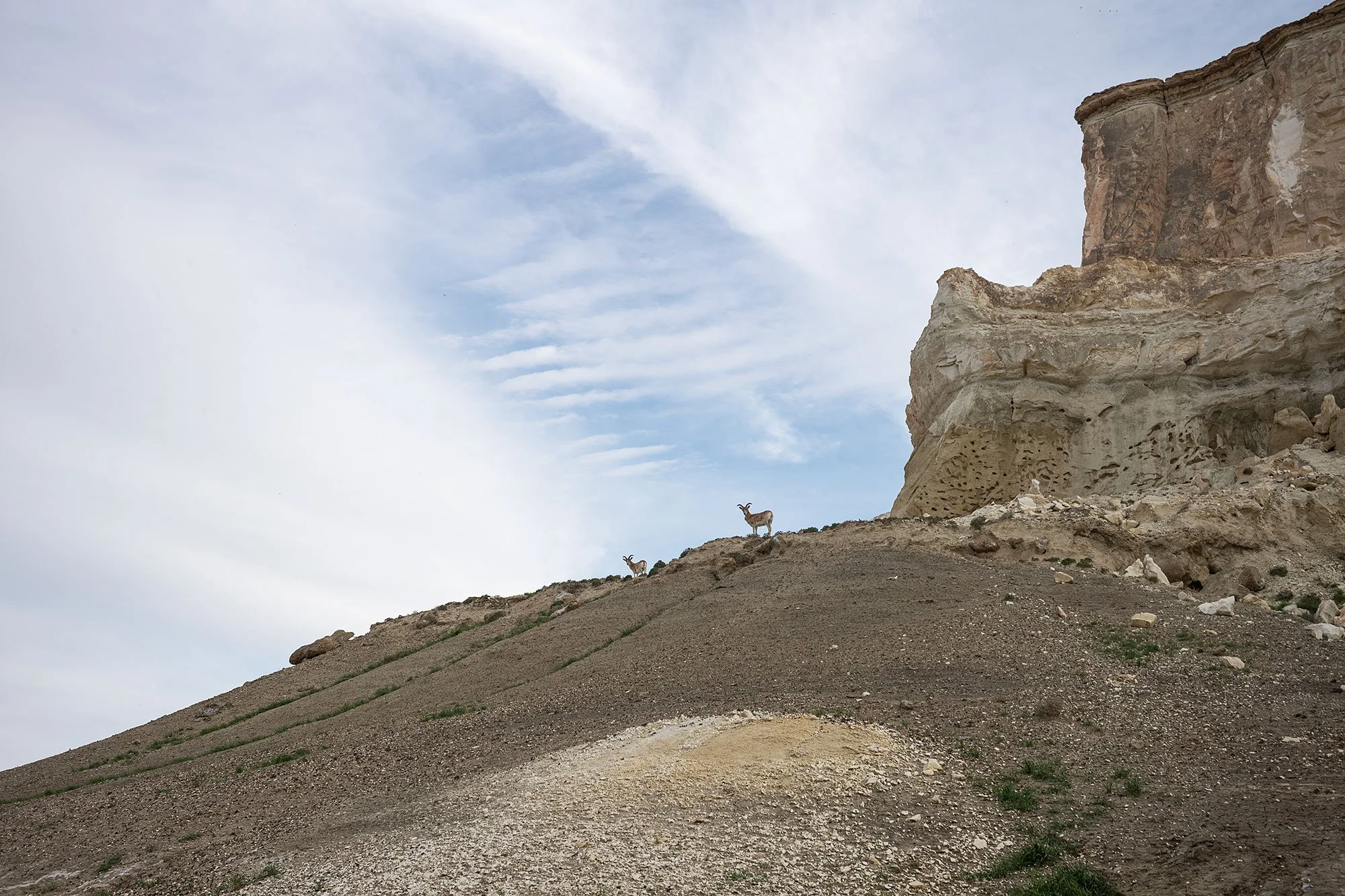 Ustyurt Plateau in the Mangystau Region of western Kazakhstan