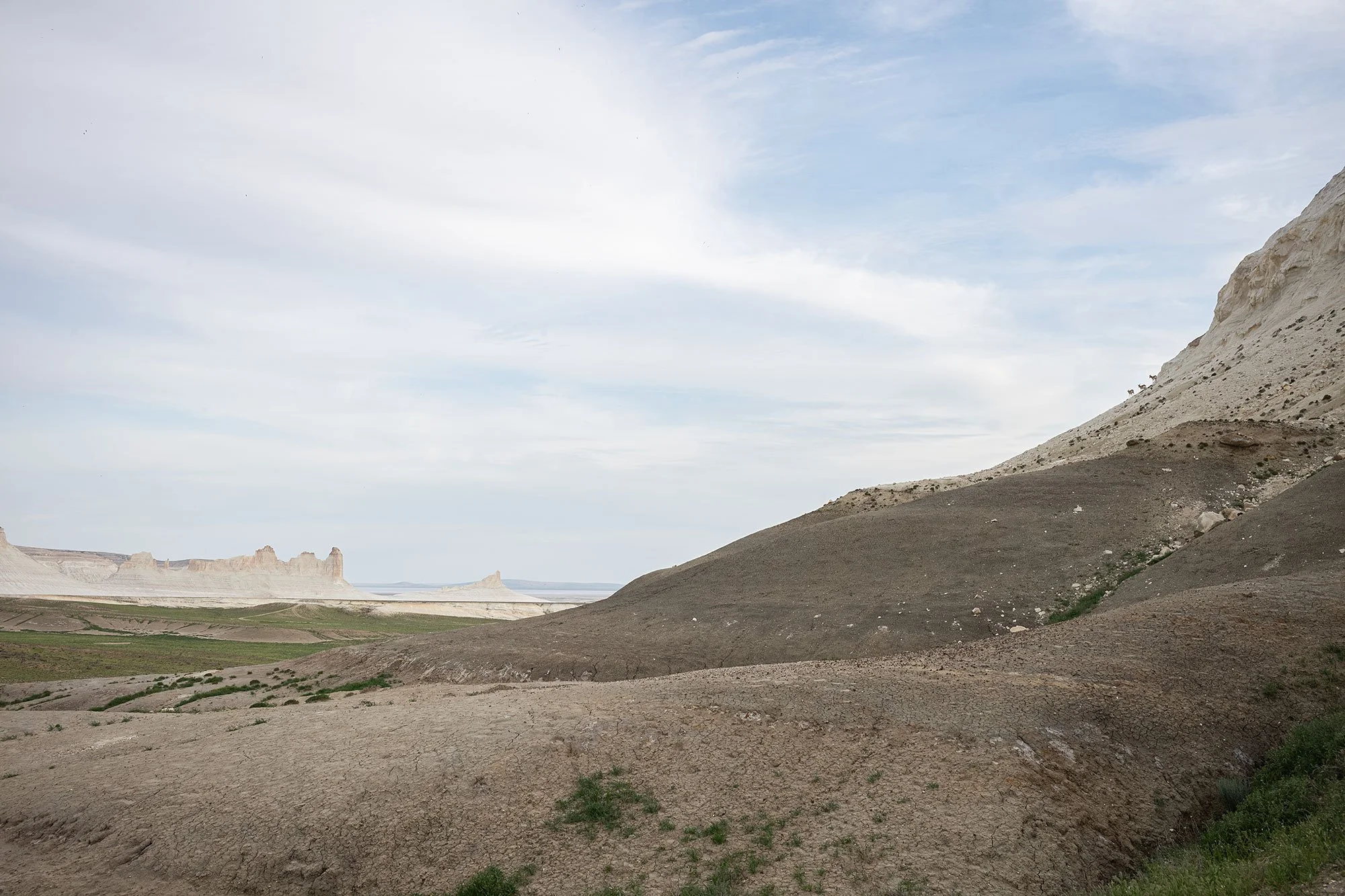 Ustyurt Plateau in the Mangystau Region of western Kazakhstan